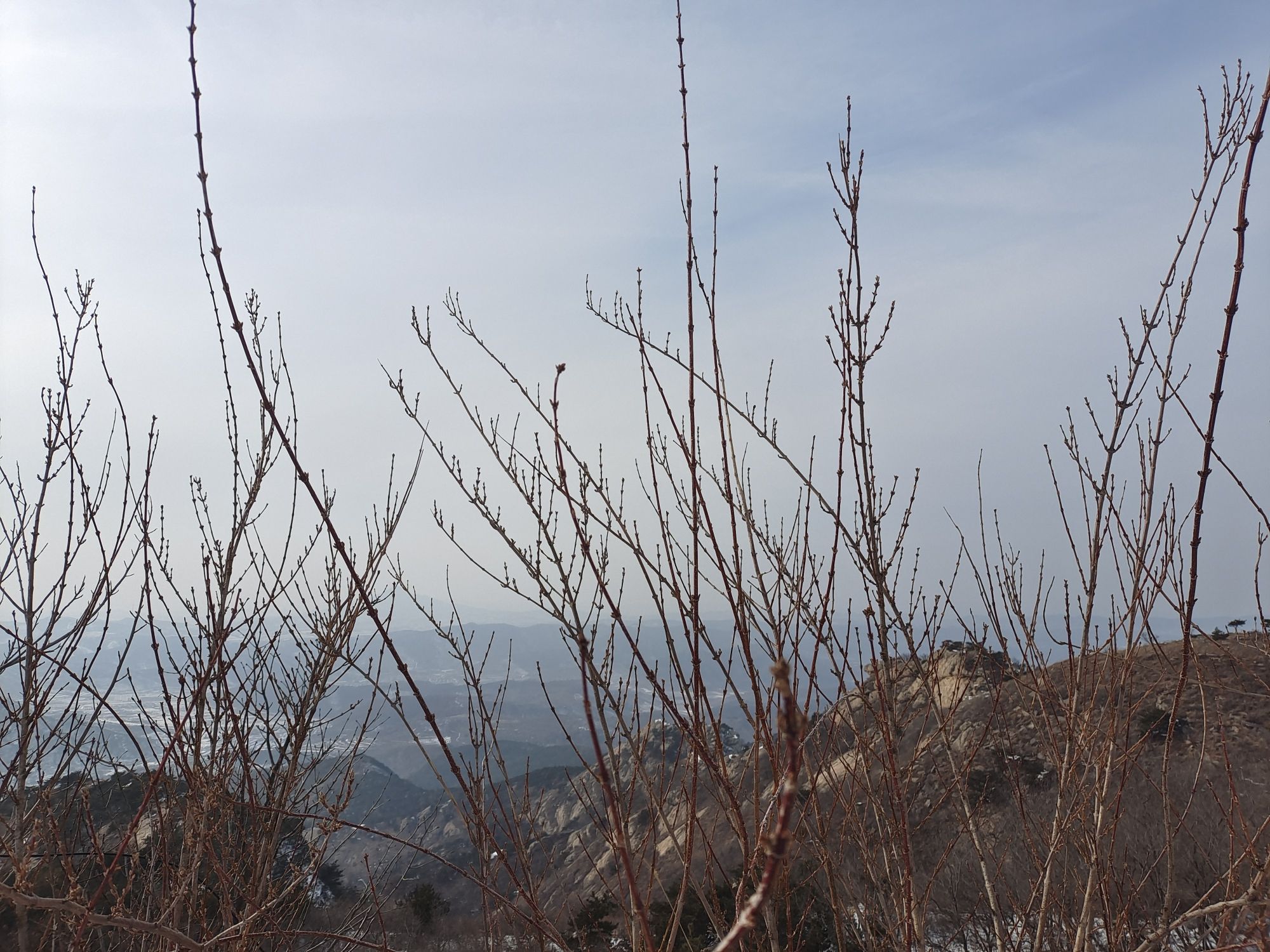 马石山旅行图片 3