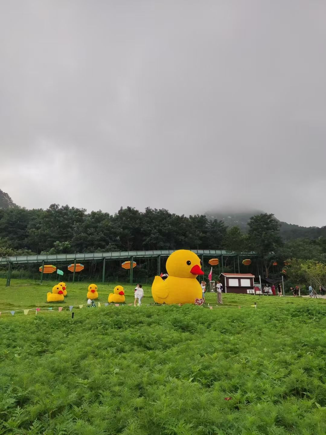 多福山国际养生旅游度假区旅行图片 2