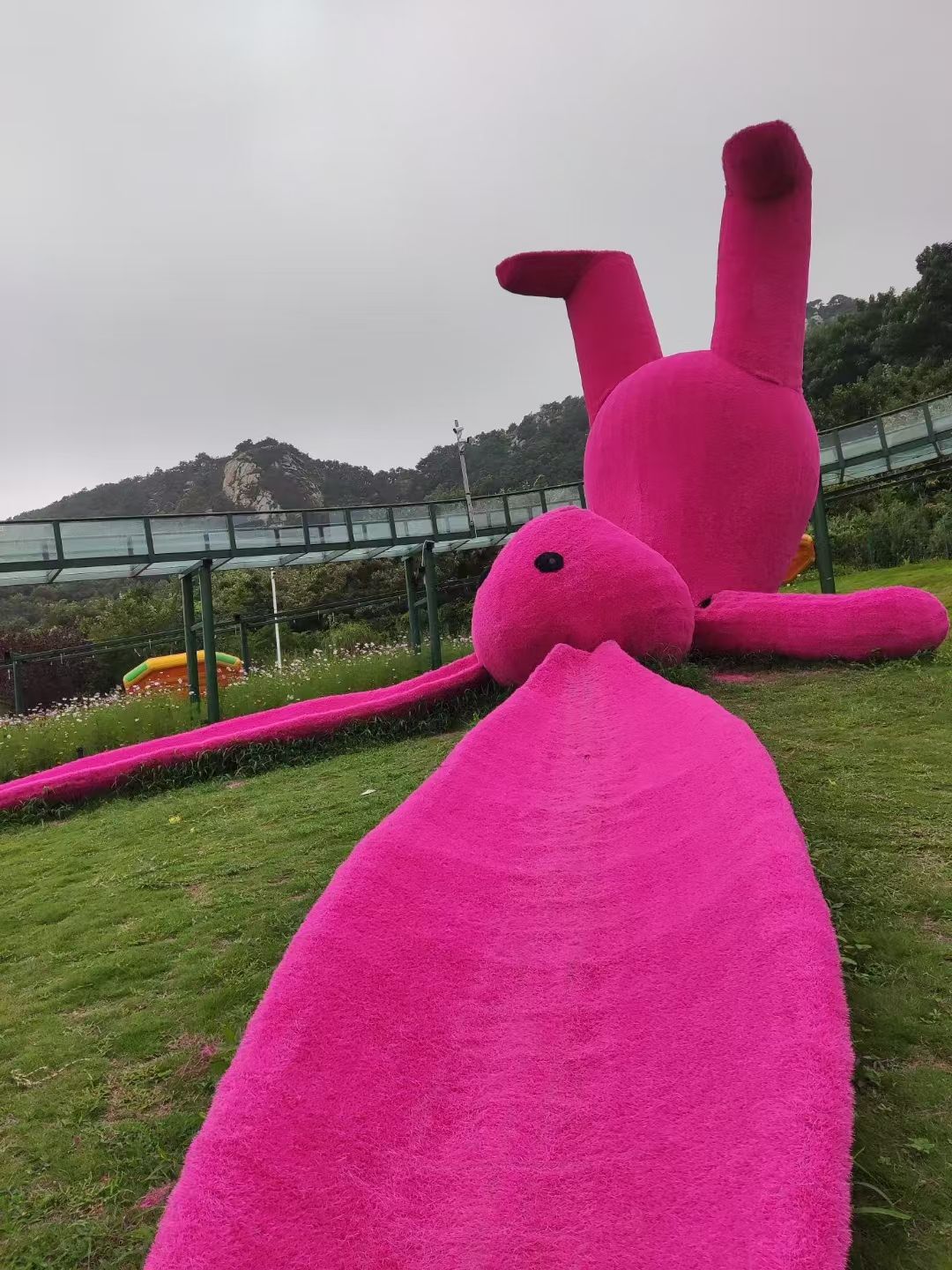 多福山国际养生旅游度假区旅行图片 3