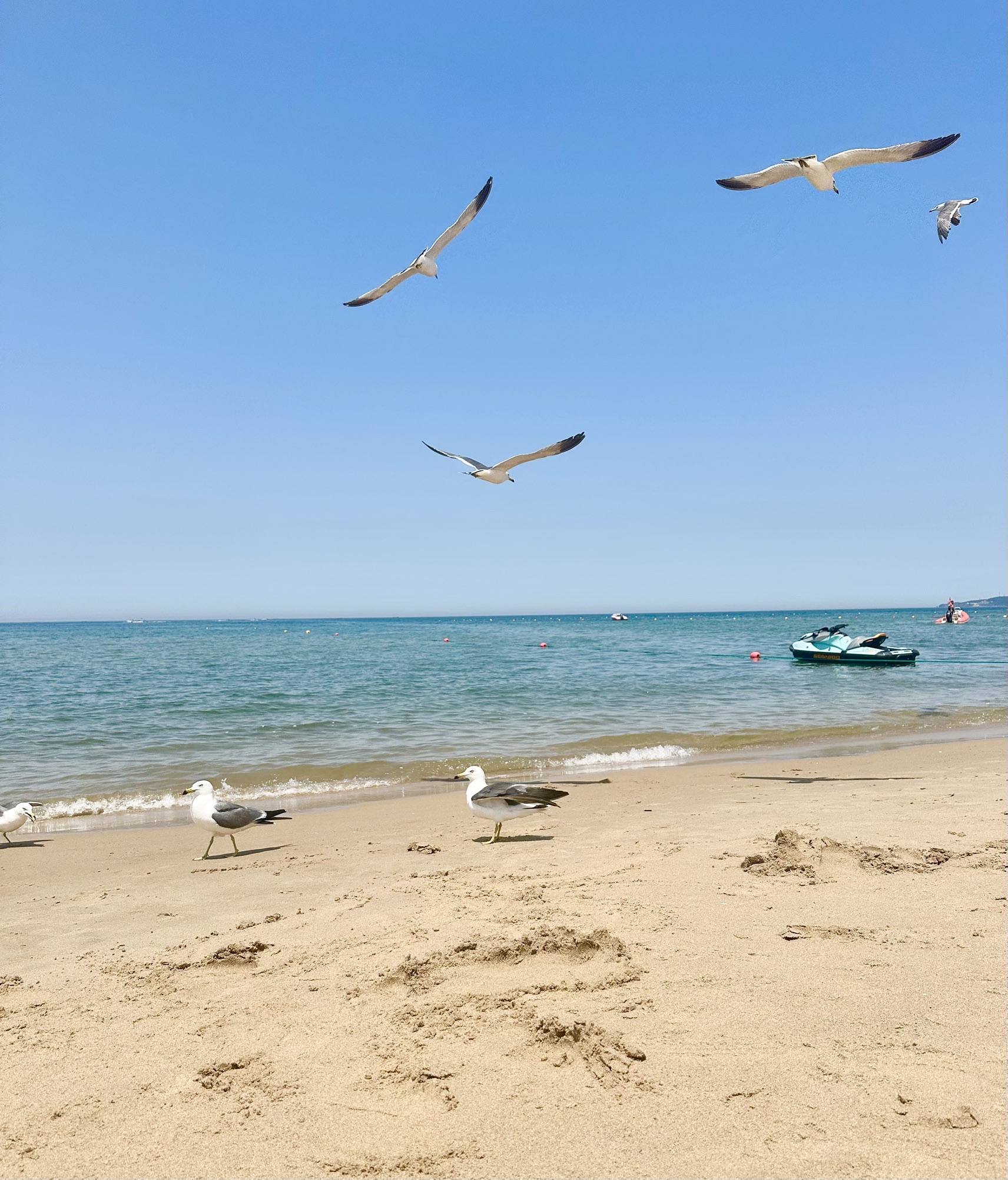 那香海国家4A级景区旅行图片 1