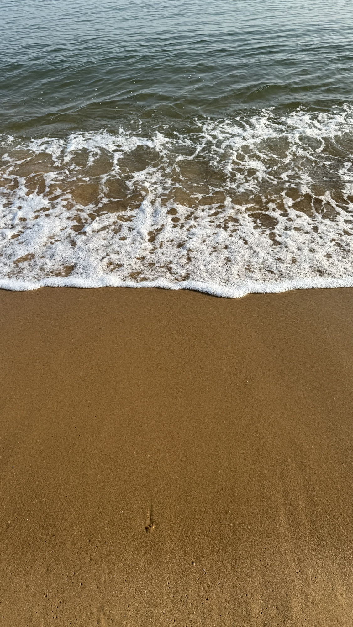 那香海国家4A级景区旅行图片 2