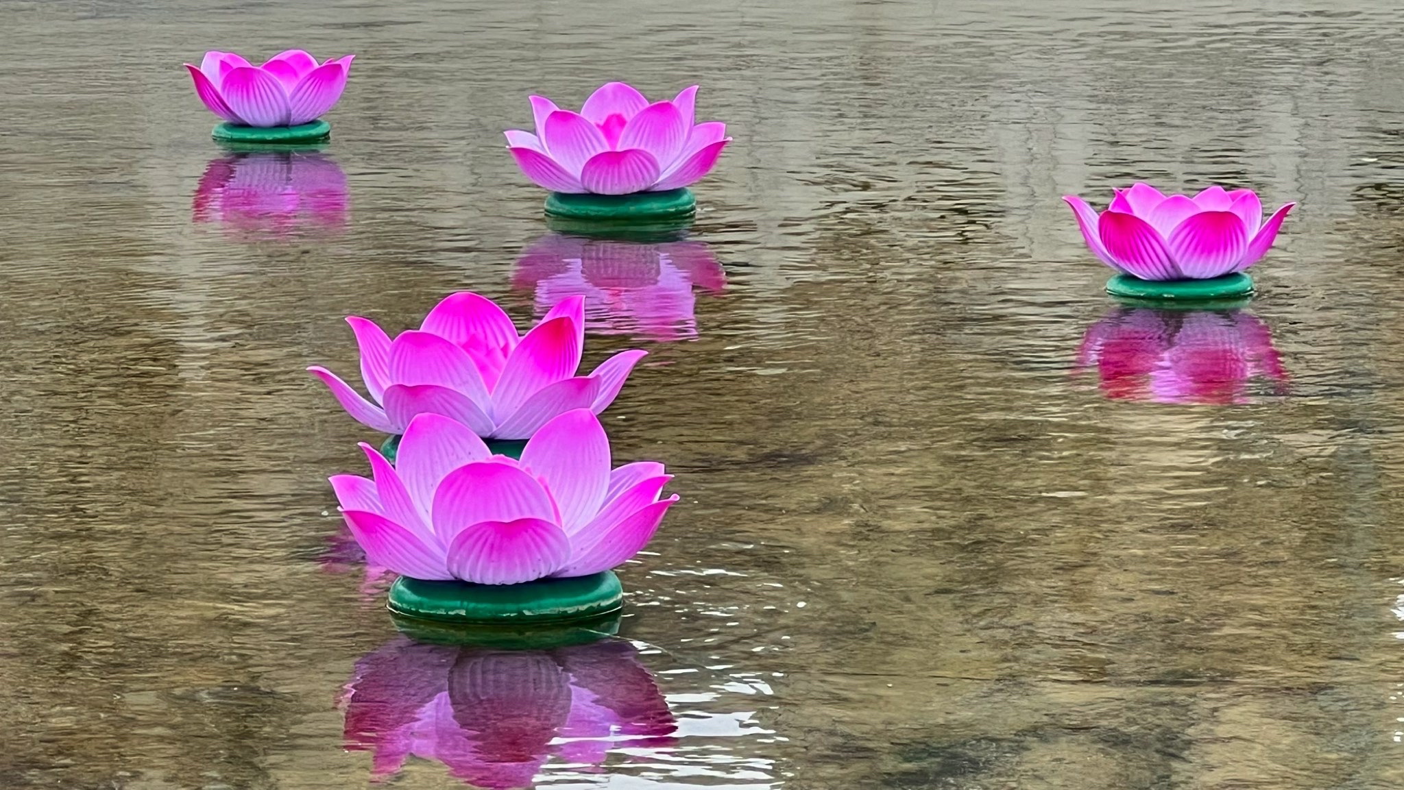 荆河公园旅行图片 3