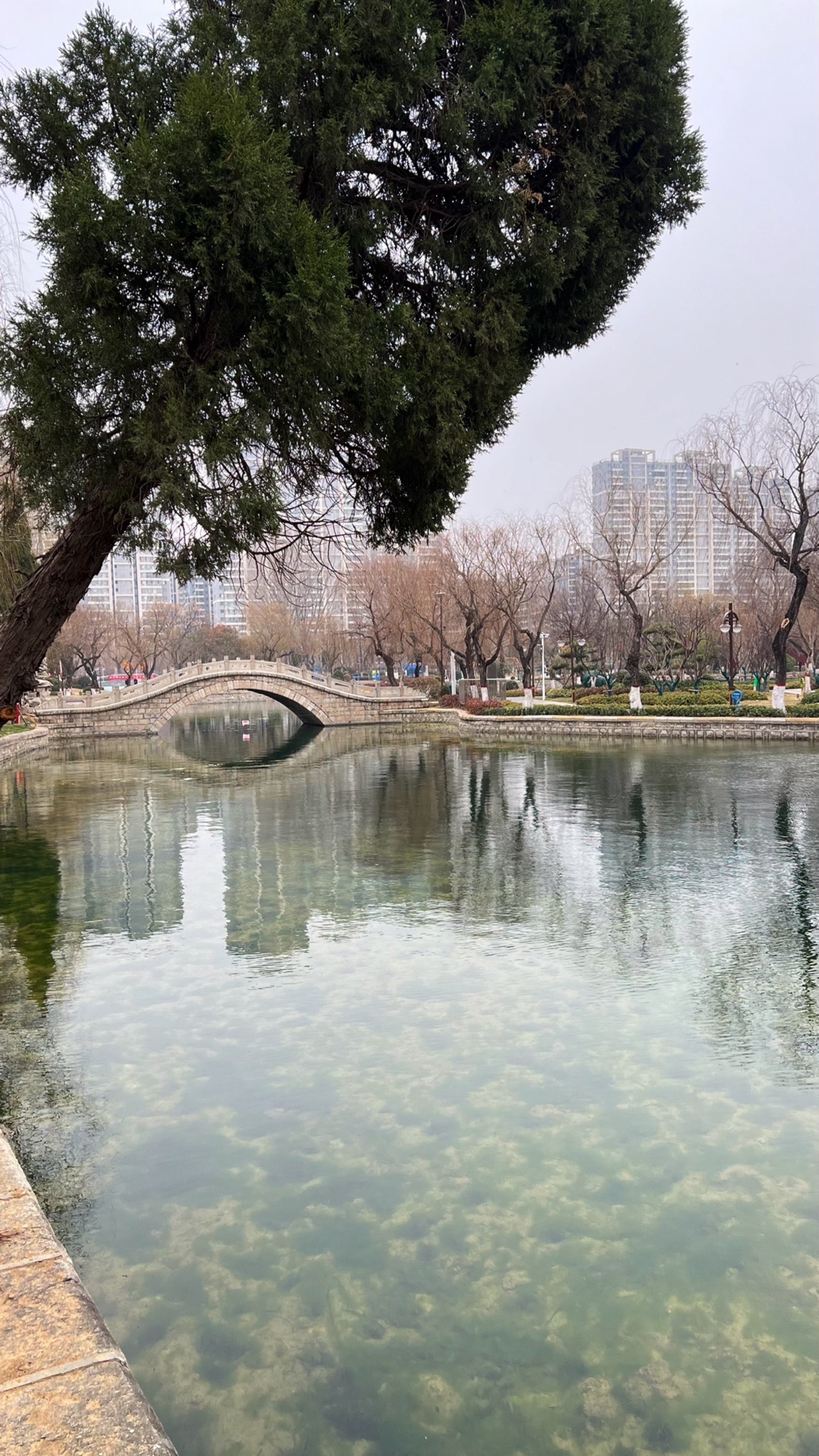 荆河公园旅行图片 2