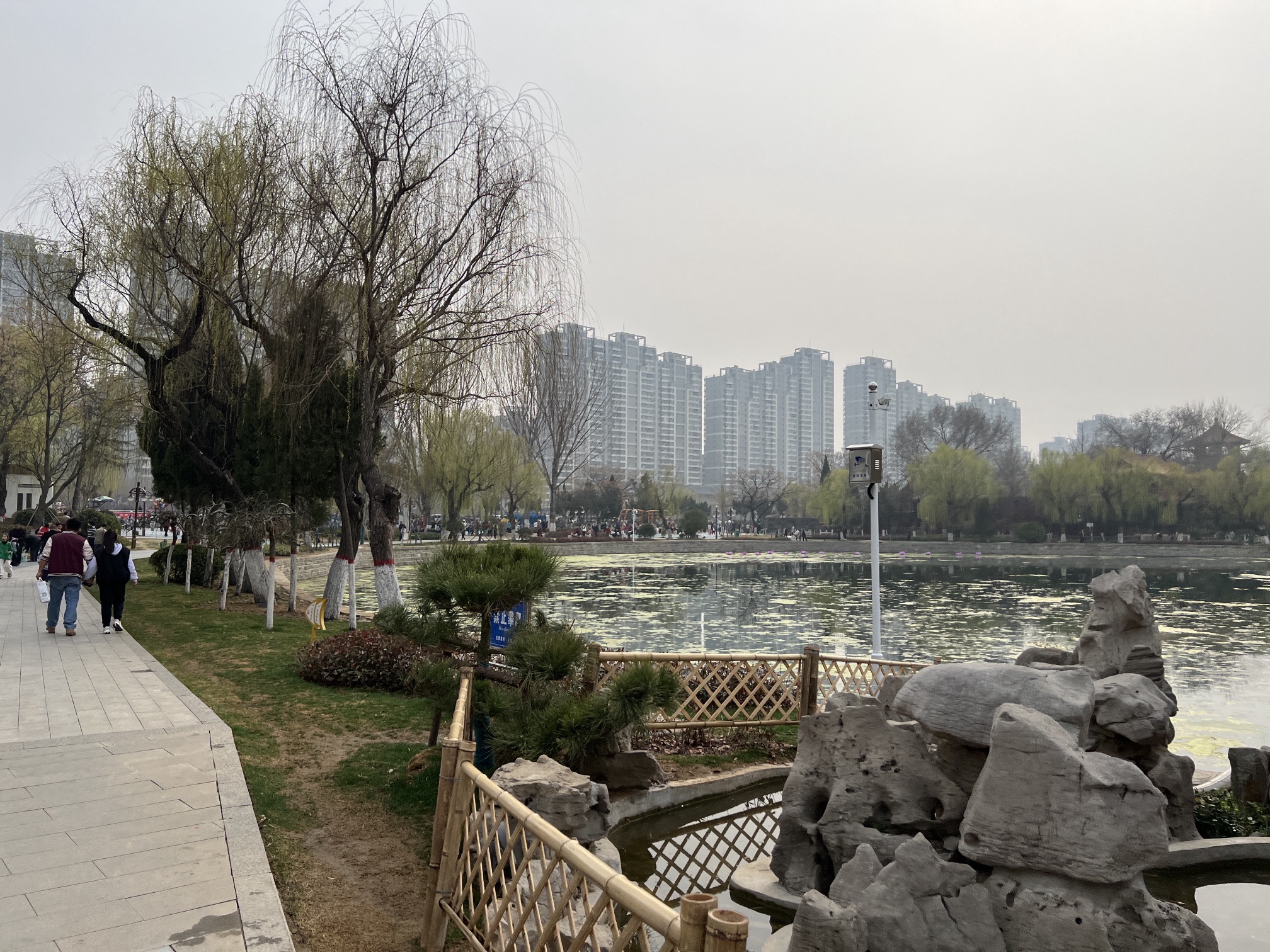 荆河公园旅行图片 2