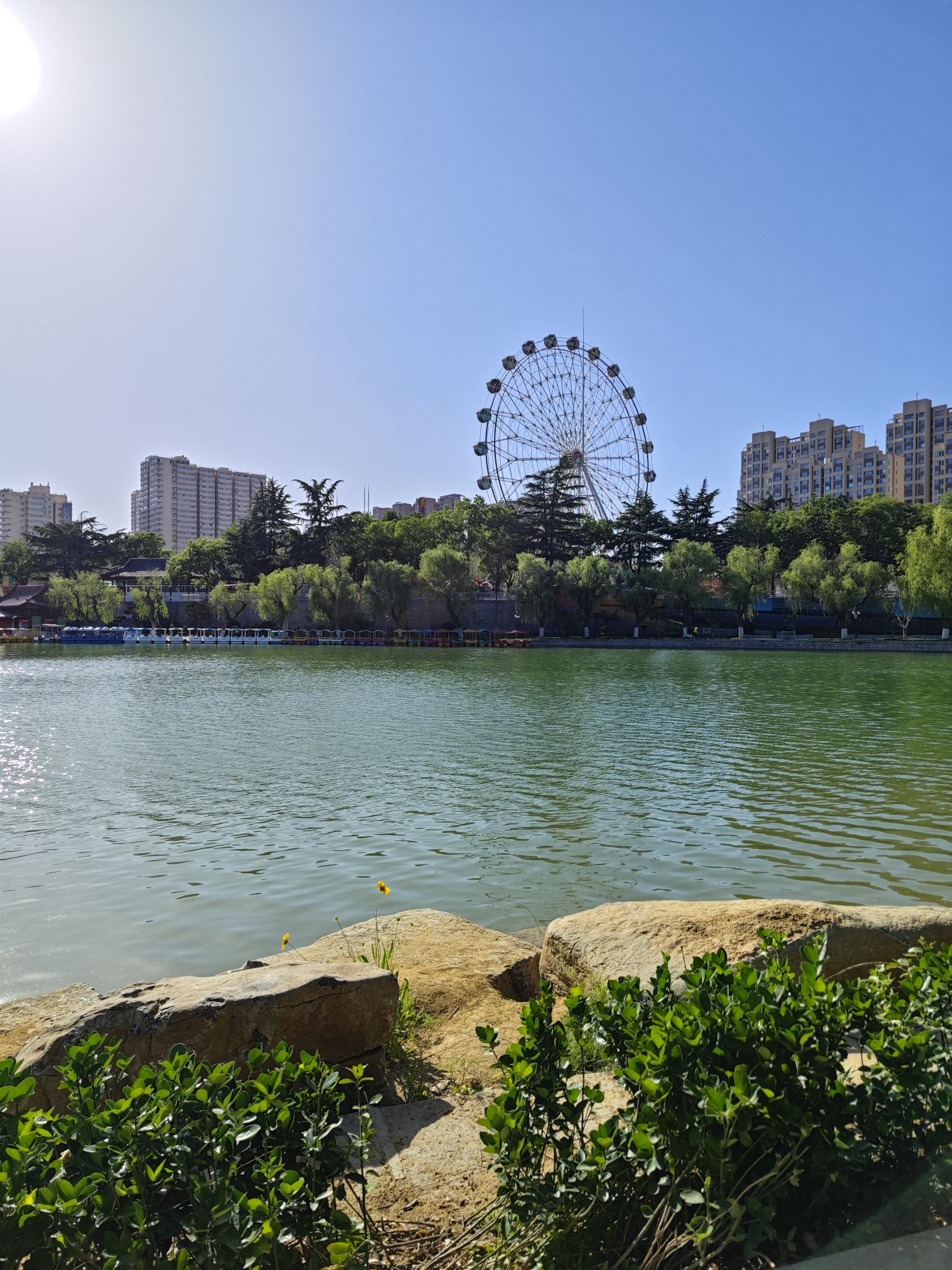 荆河公园旅行图片 2