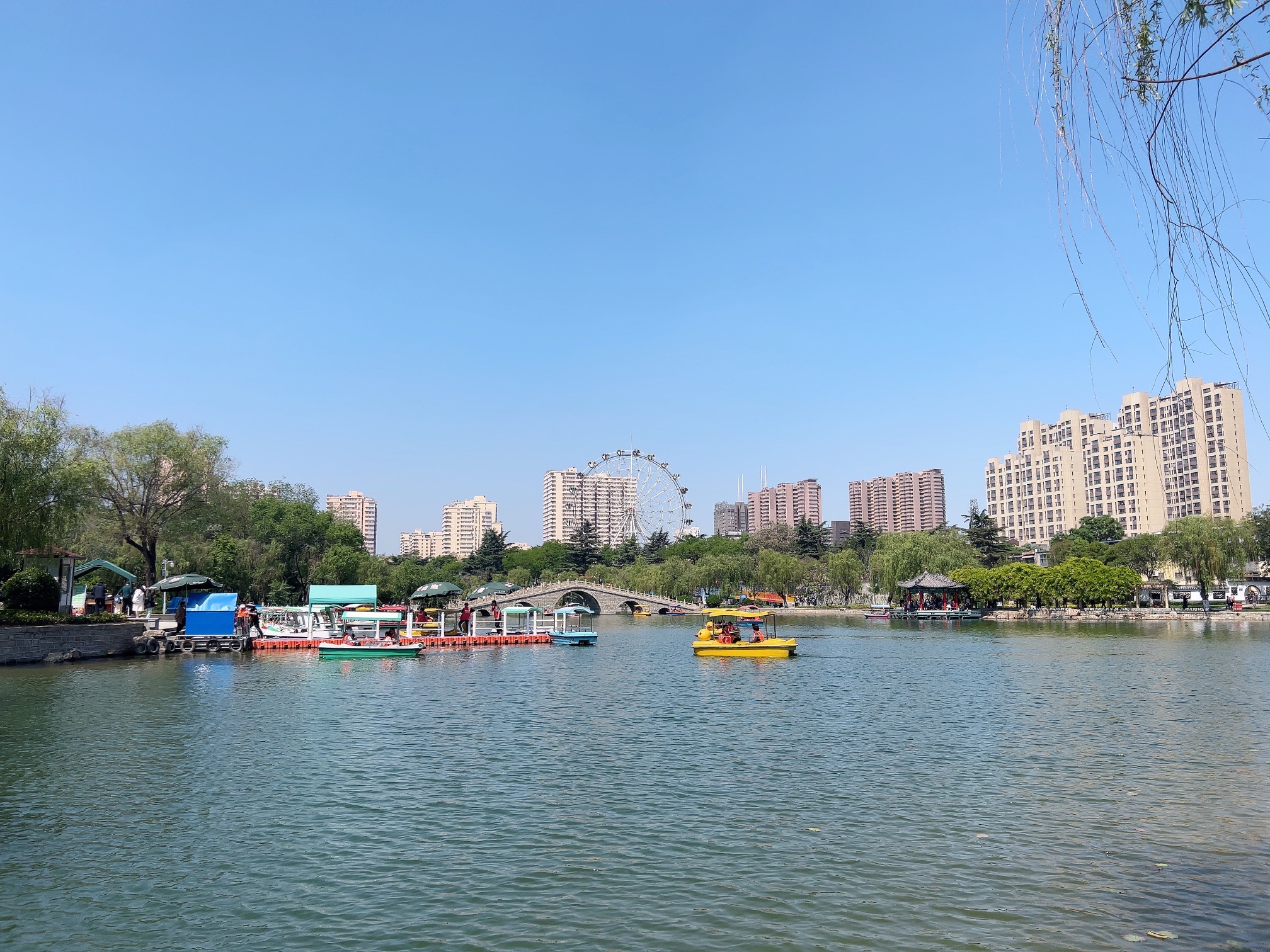 荆河公园旅行图片 2