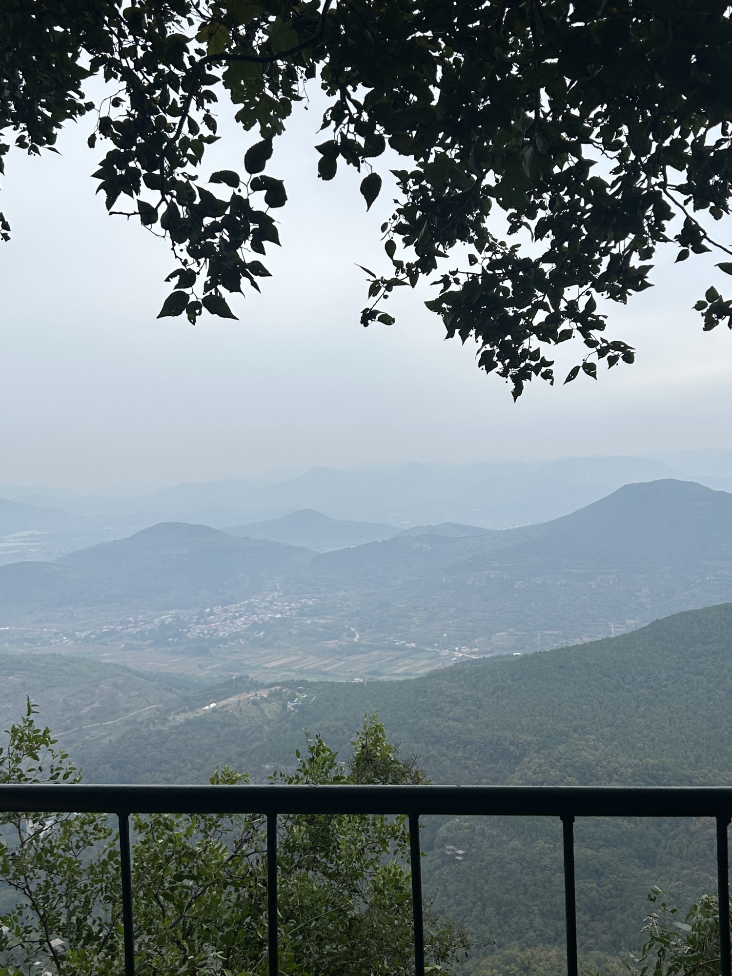 抱犊崮国家森林公园旅行图片 3