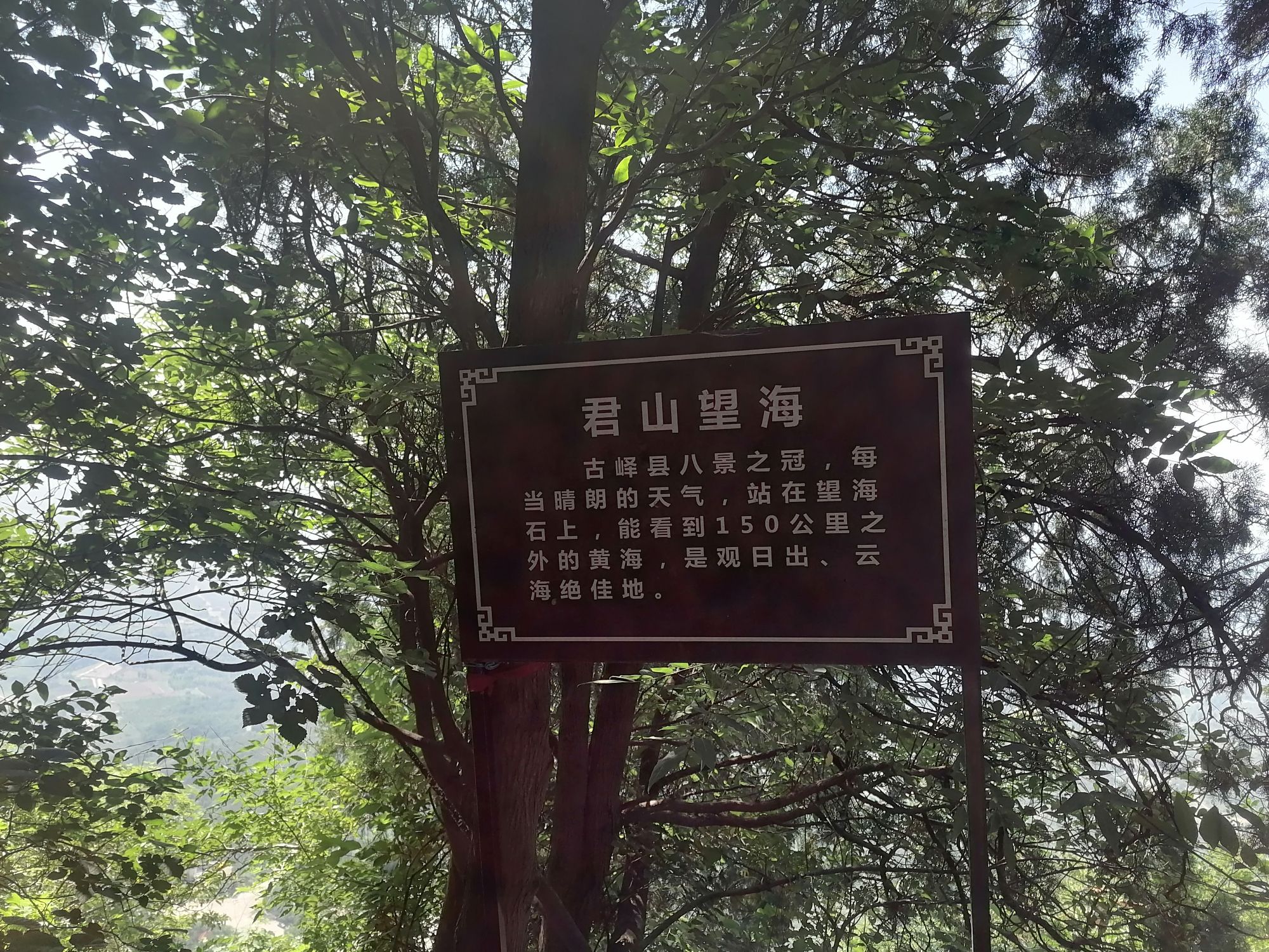 抱犊崮国家森林公园旅行图片 3