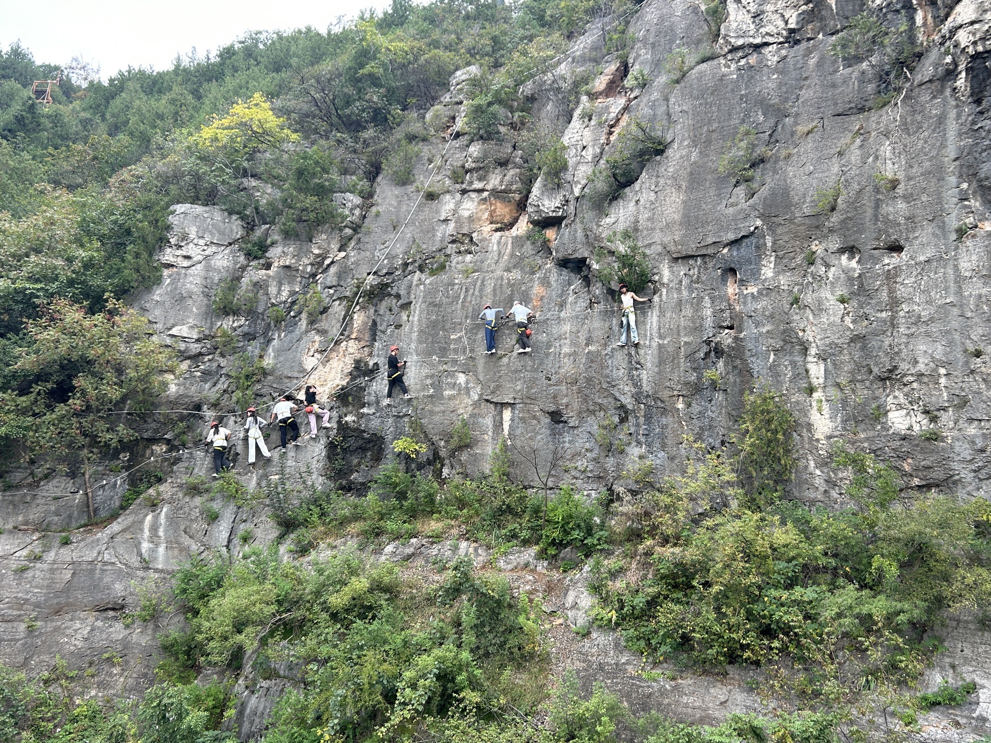 抱犊崮国家森林公园旅行图片 2