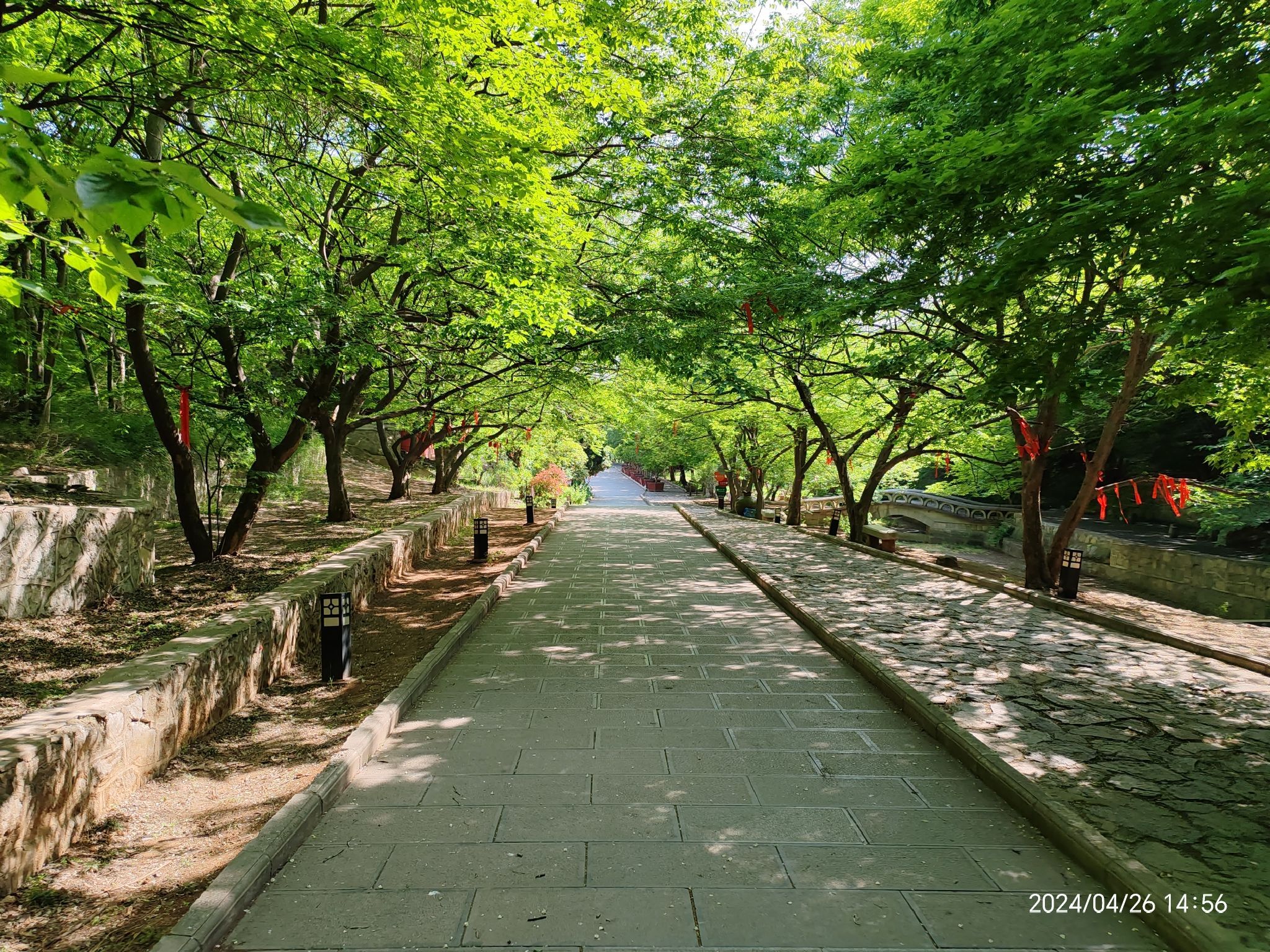 冠世榴园风景区旅行图片 1