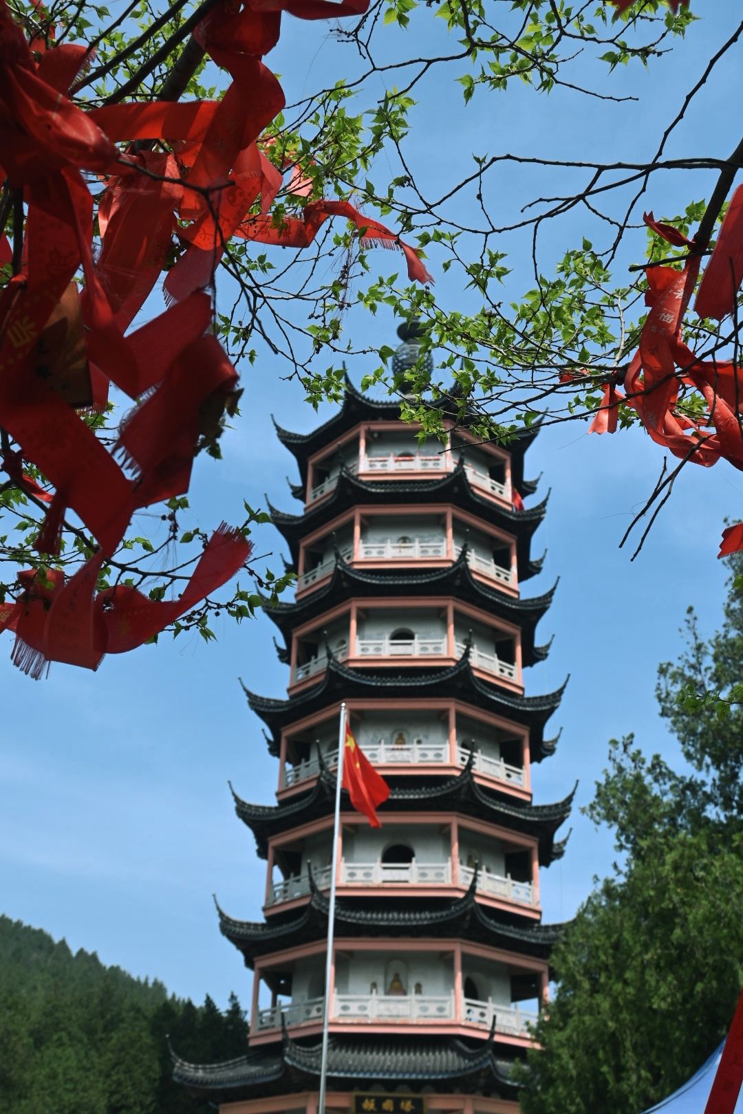 冠世榴园风景区旅行图片 3