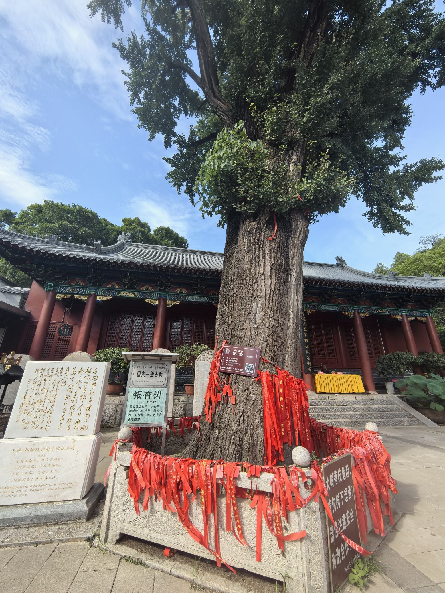 冠世榴园风景区旅行图片 3