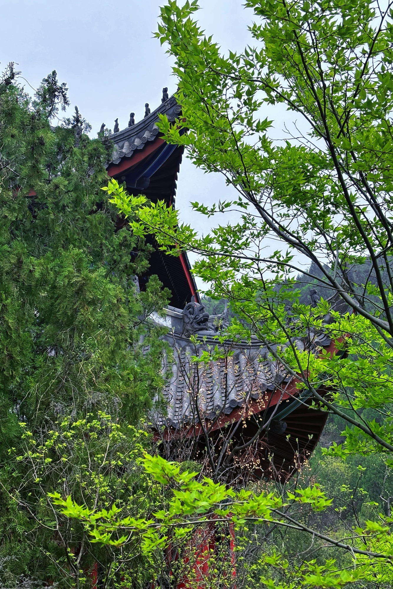 冠世榴园风景区旅行图片 2