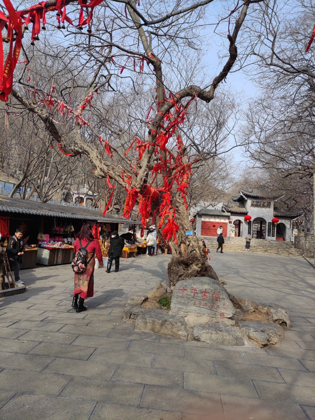 冠世榴园风景区旅行图片 2