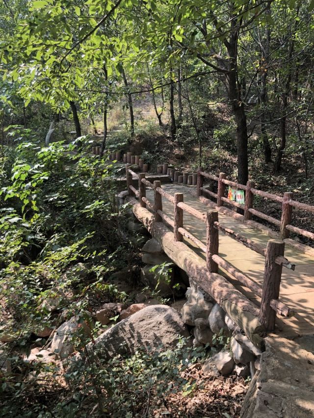 莲青山风景区旅行图片 2