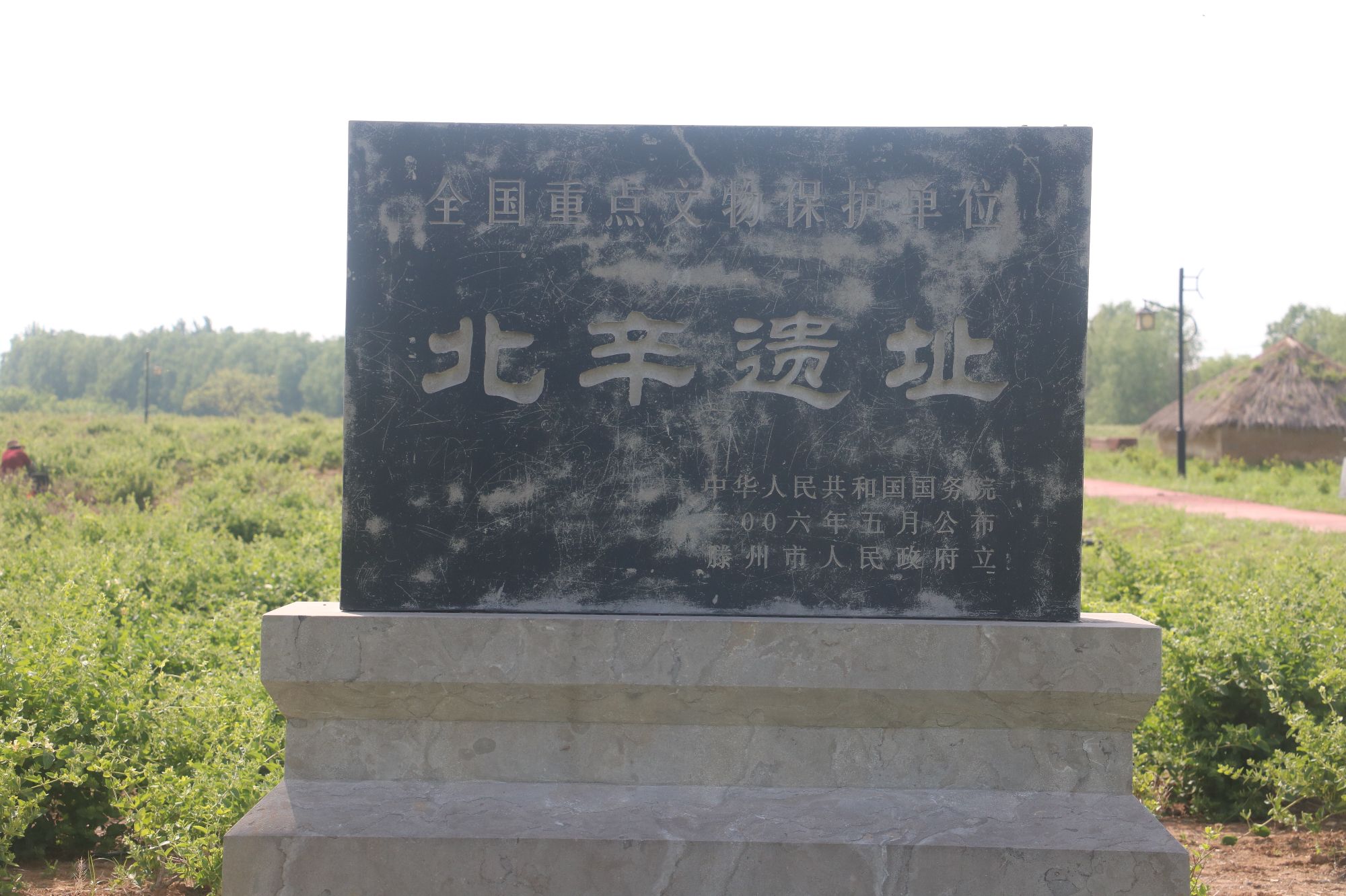 北辛文化遗址旅行图片 1