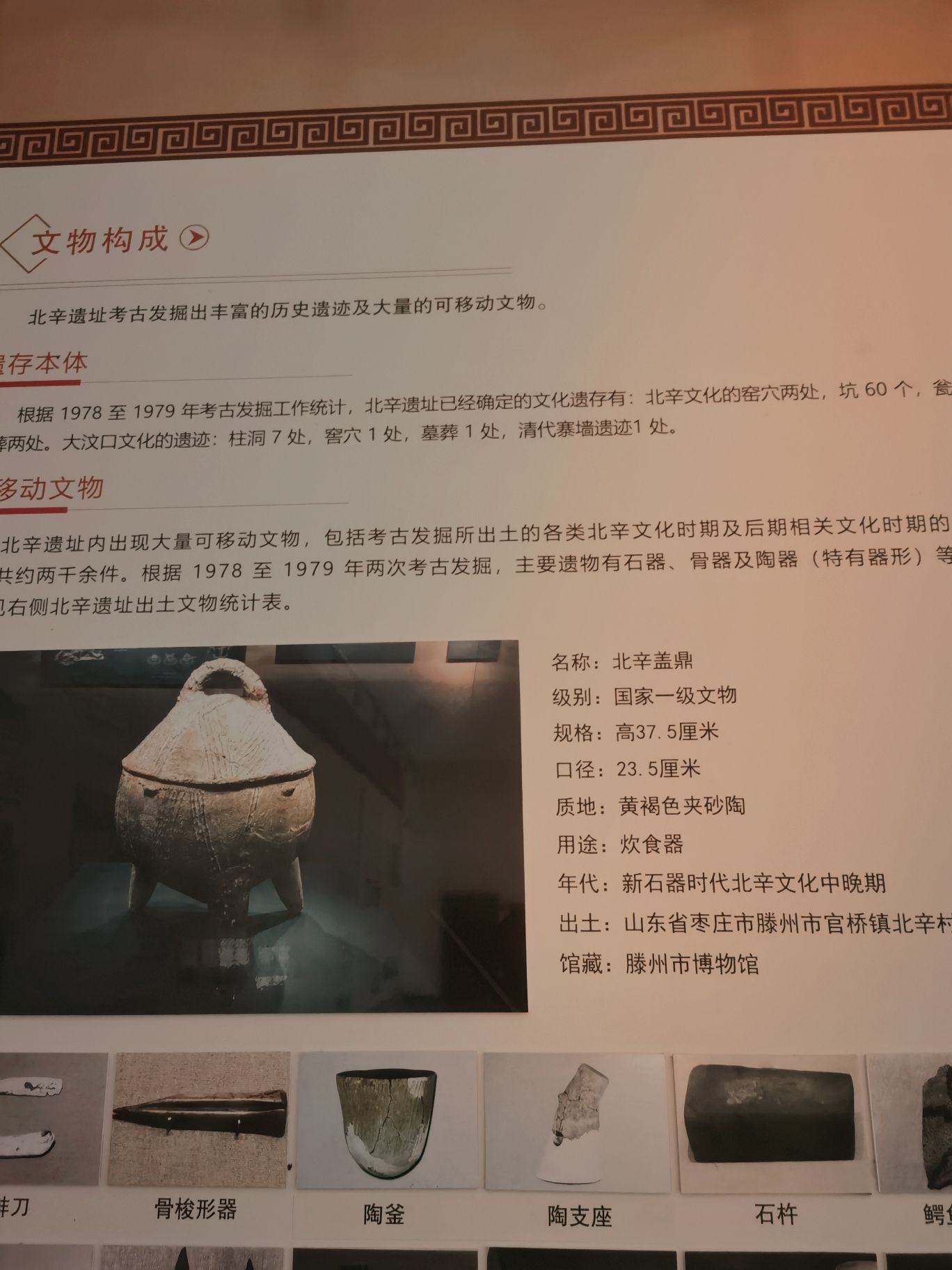 北辛文化遗址旅行图片 3