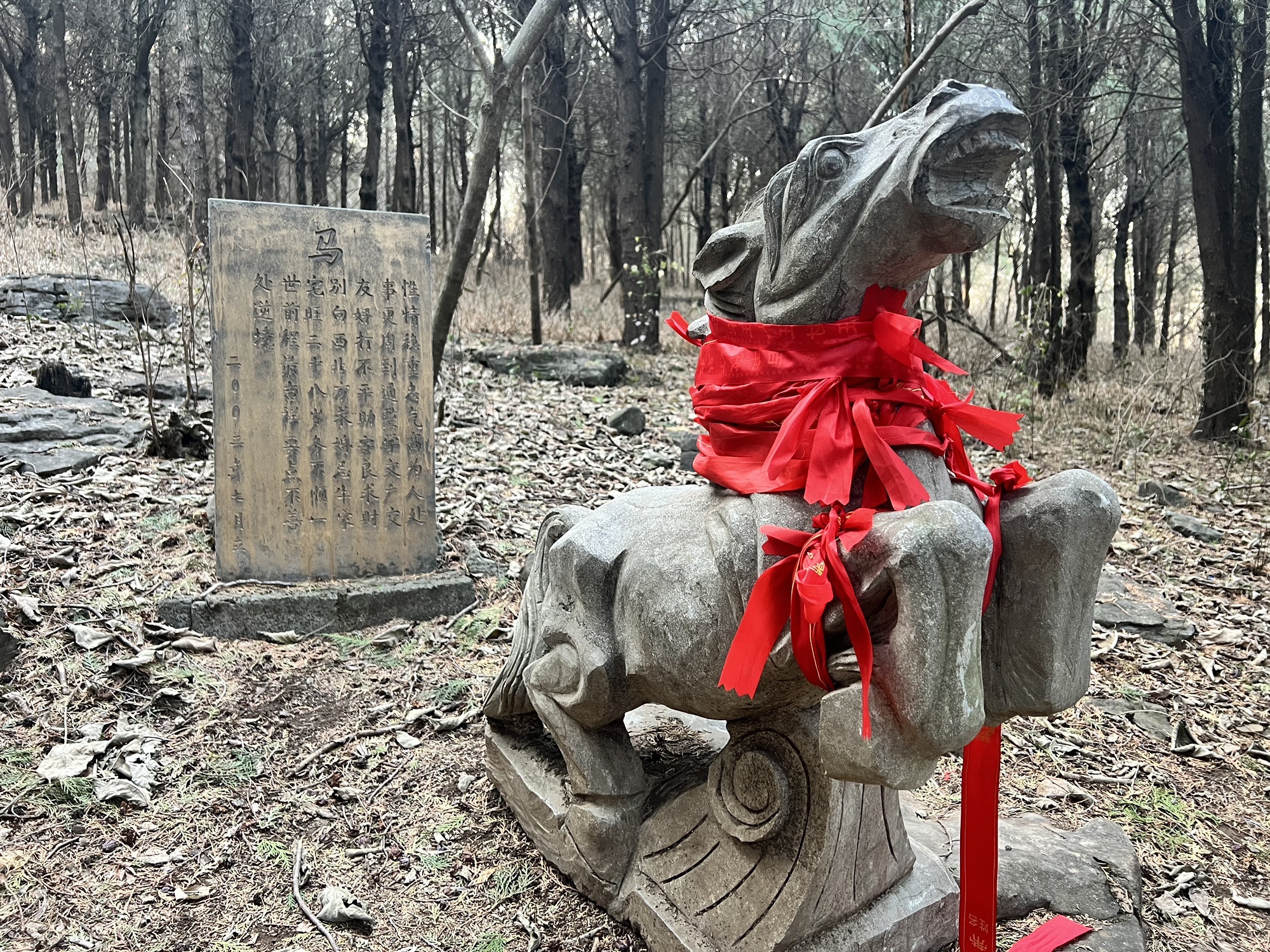 龟山望龙洞风景区旅行图片 2