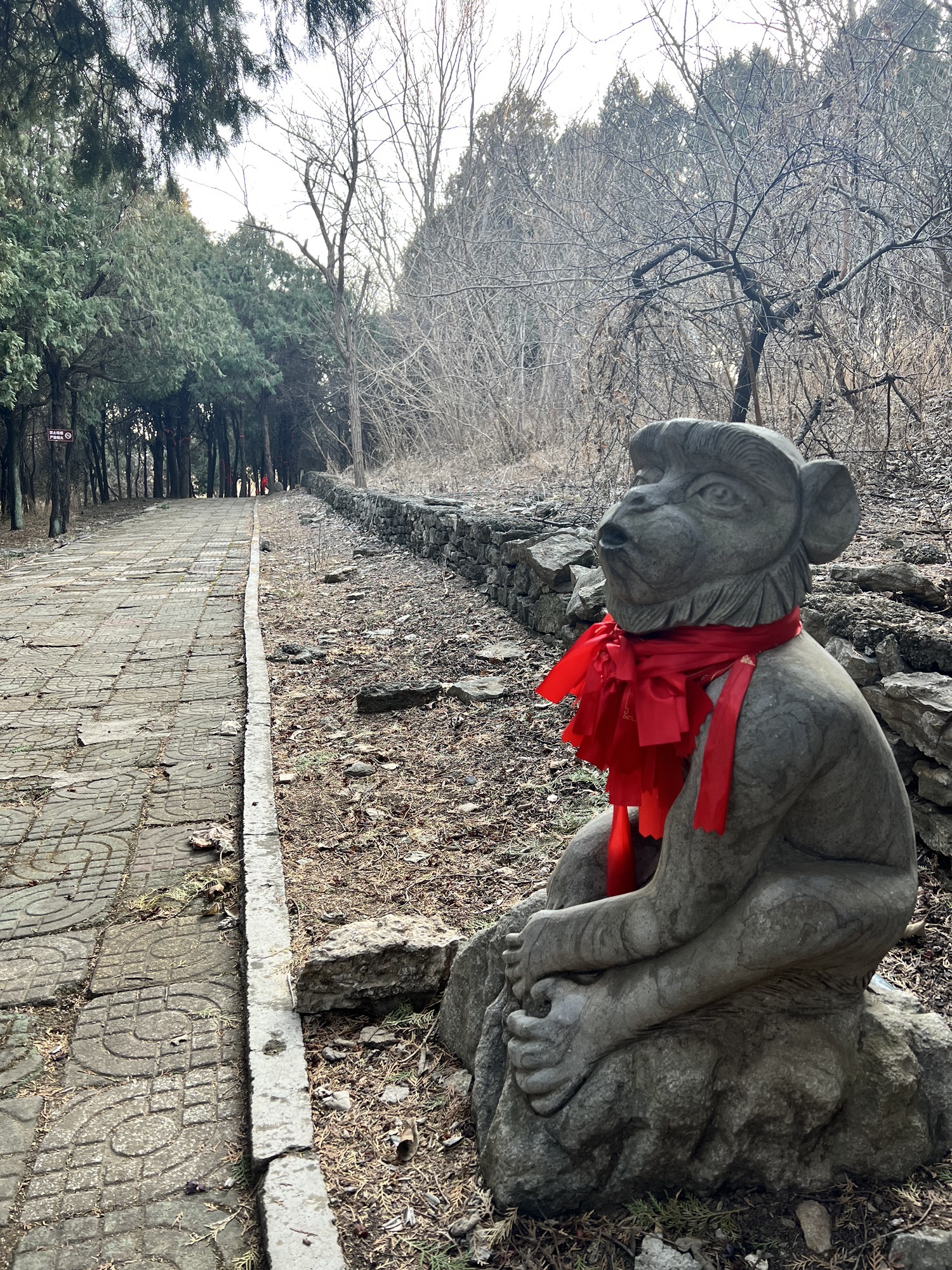龟山望龙洞风景区旅行图片 3