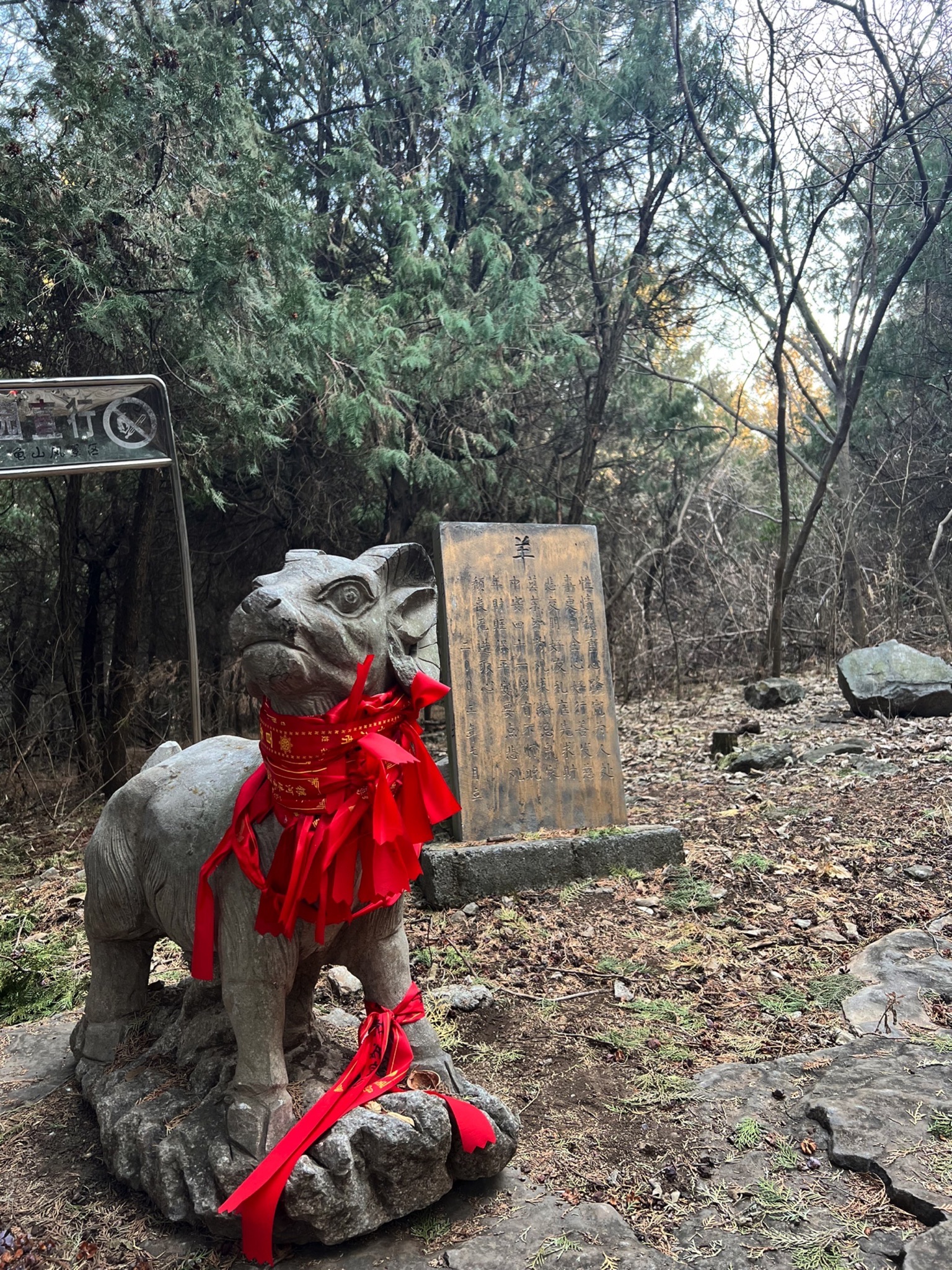 龟山望龙洞风景区旅行图片 1