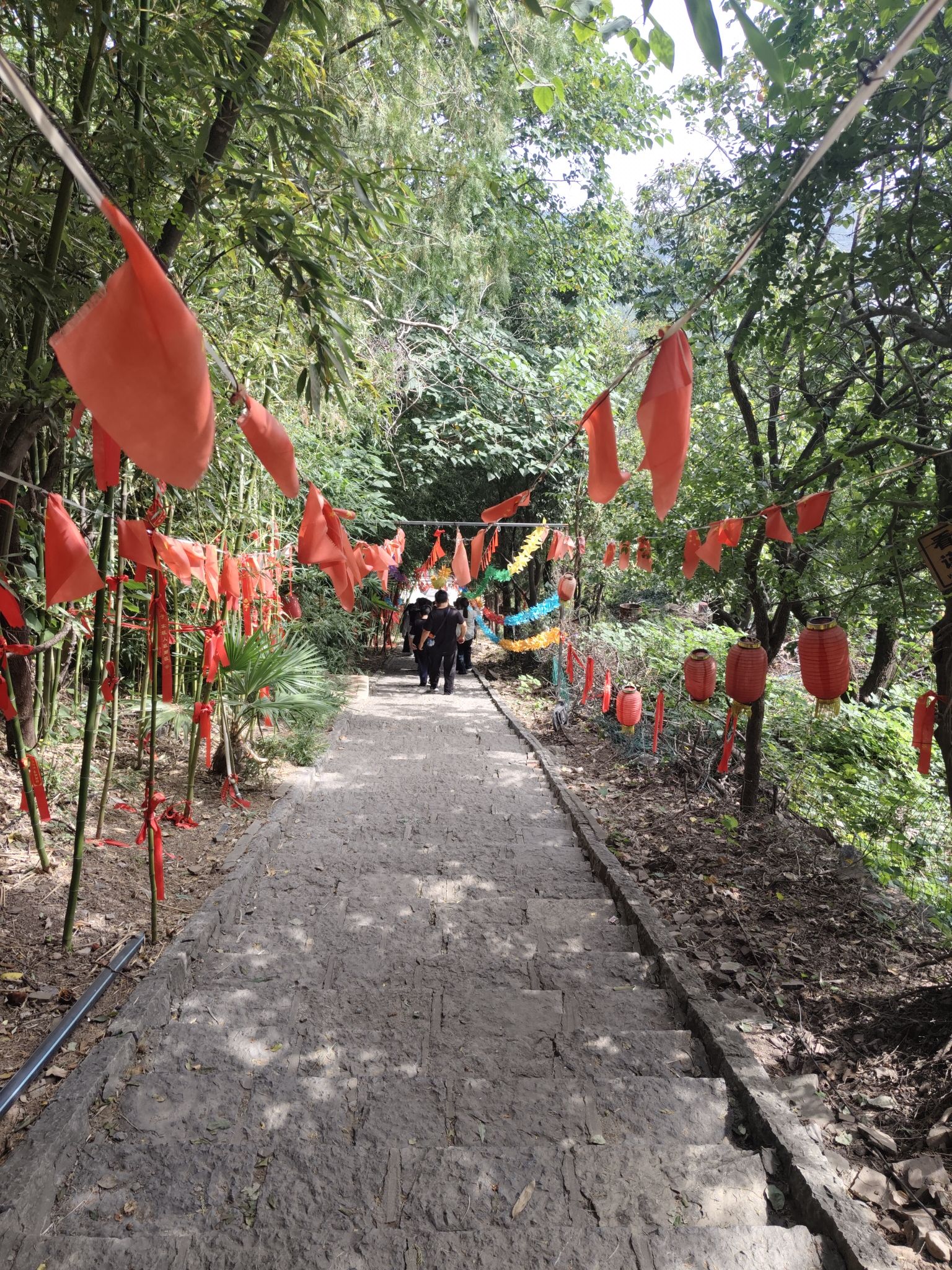 龟山望龙洞风景区旅行图片 1
