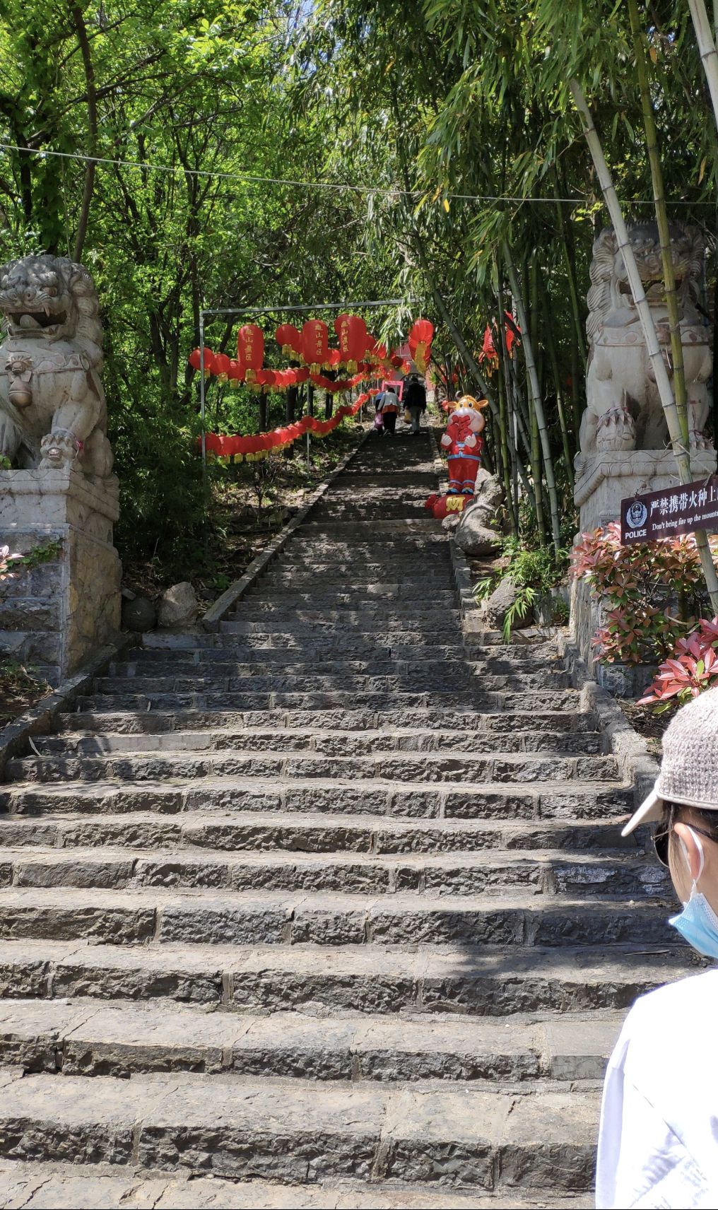 龟山望龙洞风景区旅行图片 1
