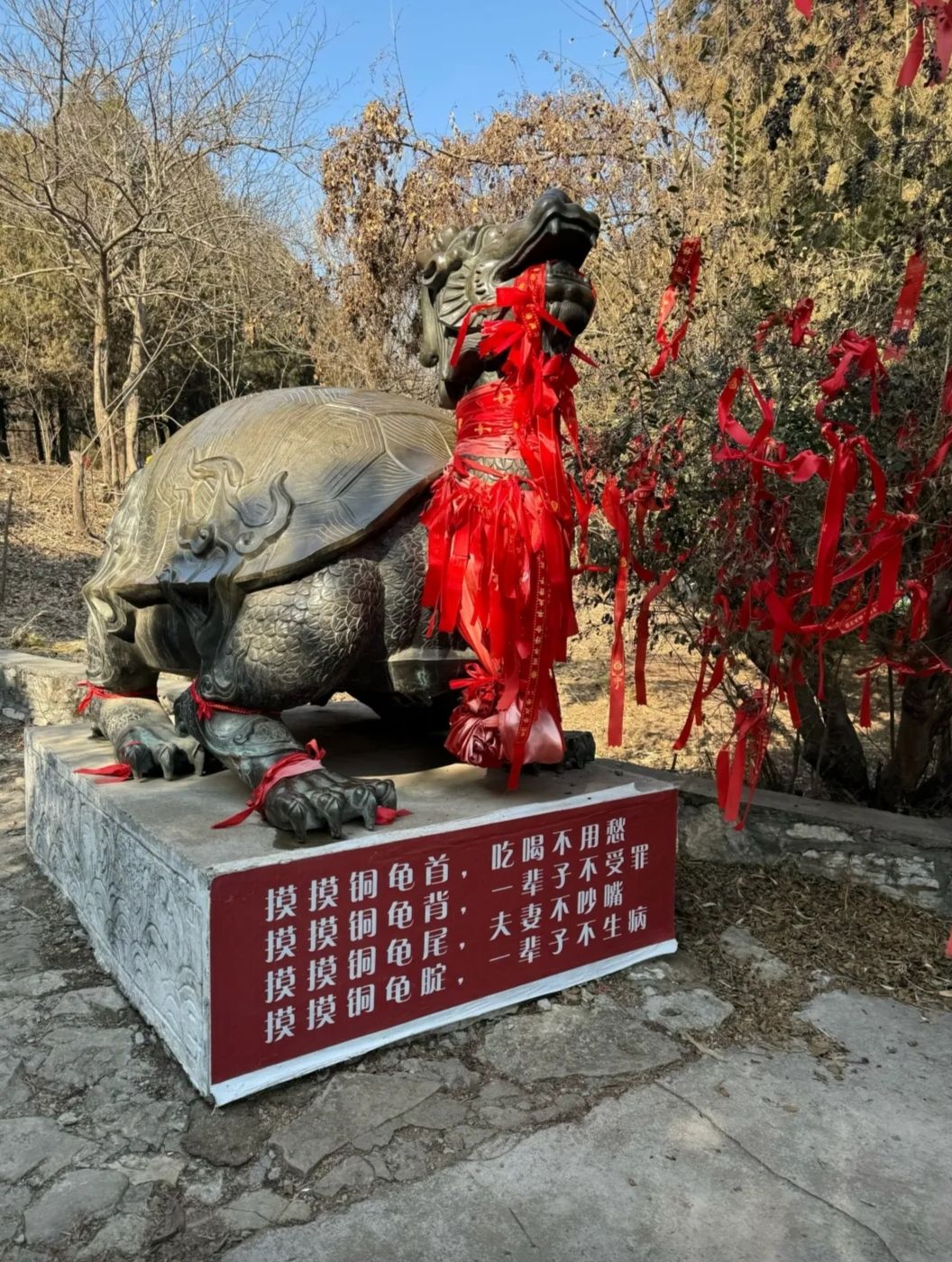 龟山望龙洞风景区旅行图片 2
