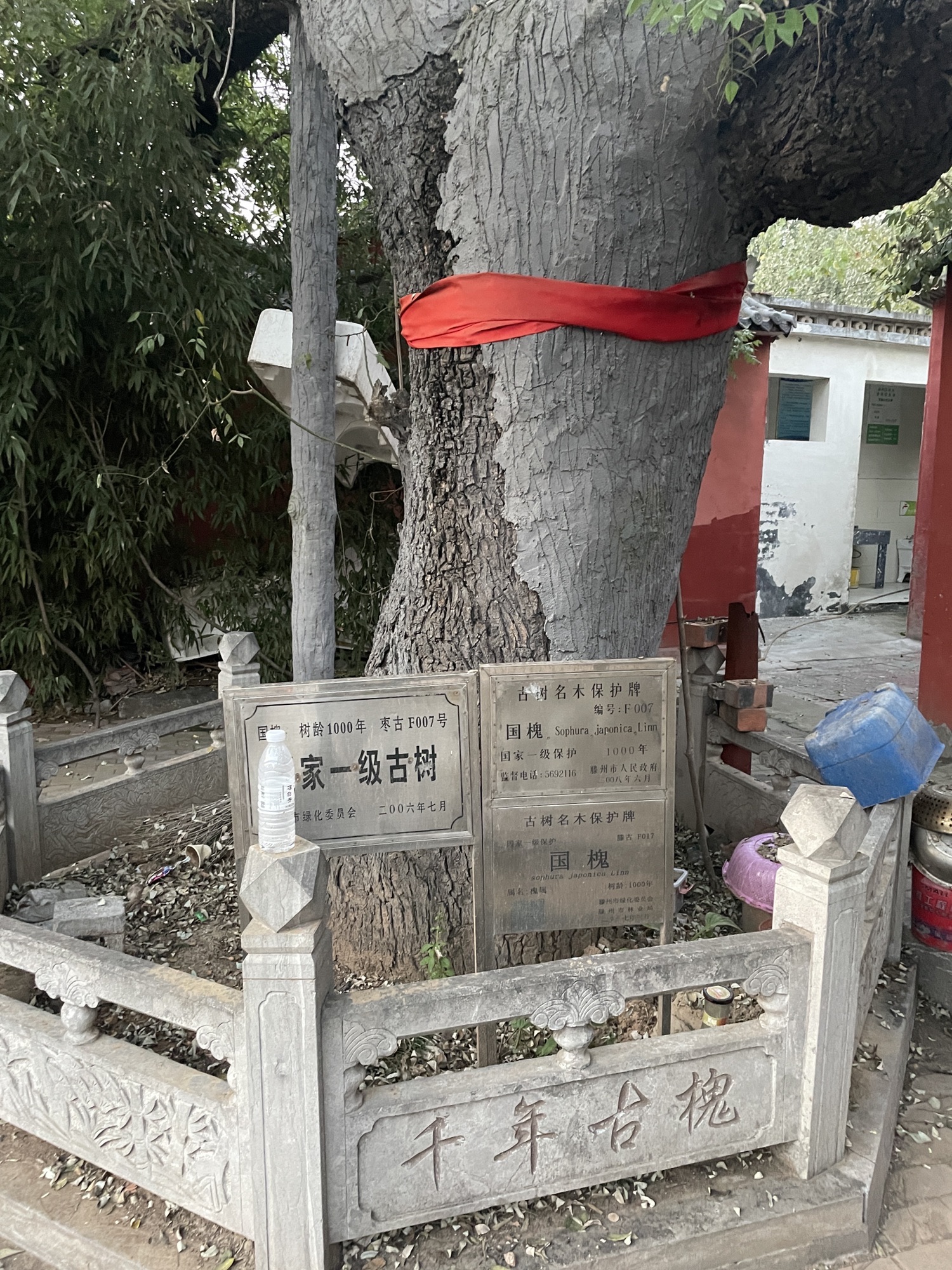 春秋阁旅行图片 3