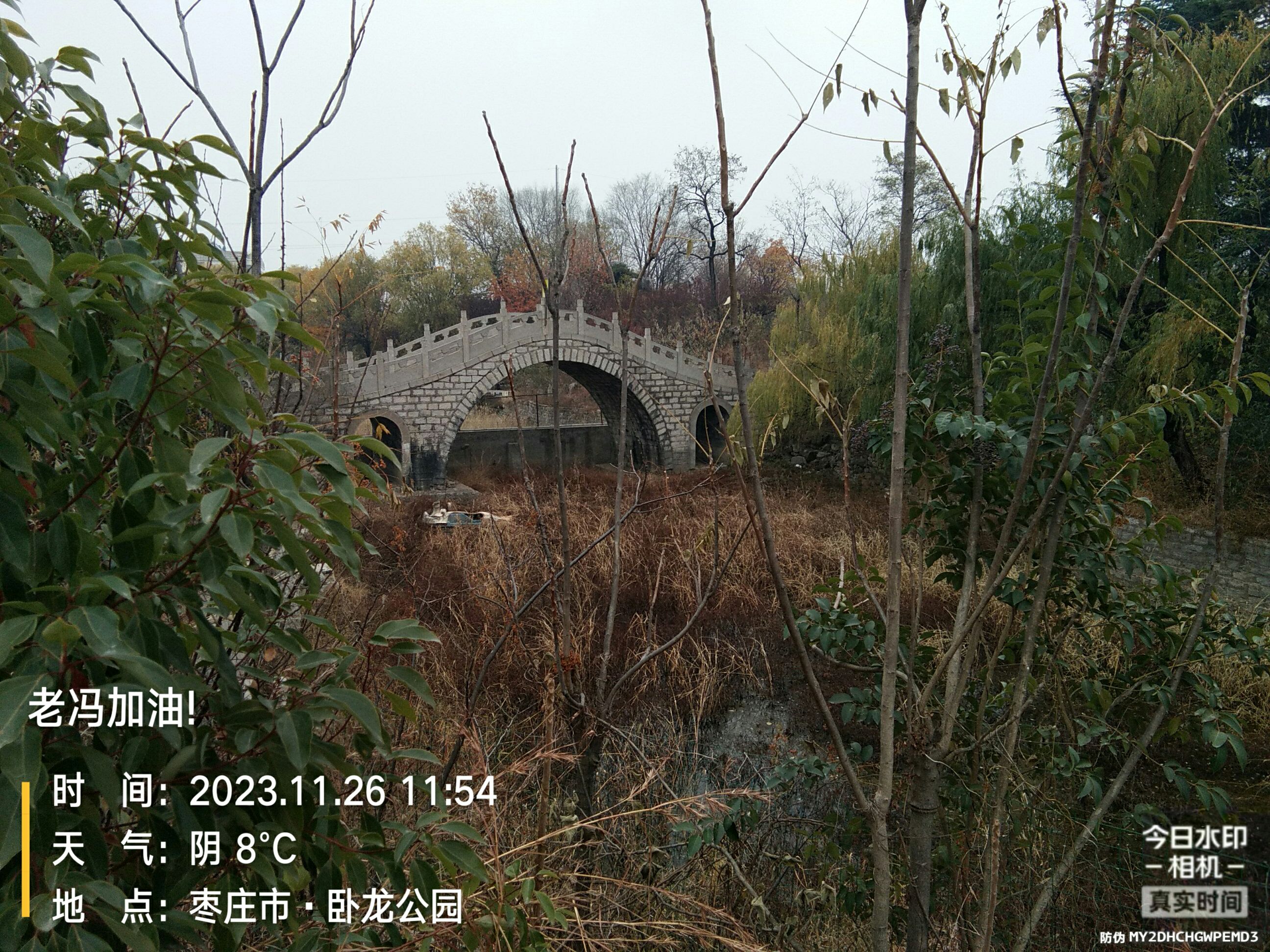 卧龙公园旅行图片 1