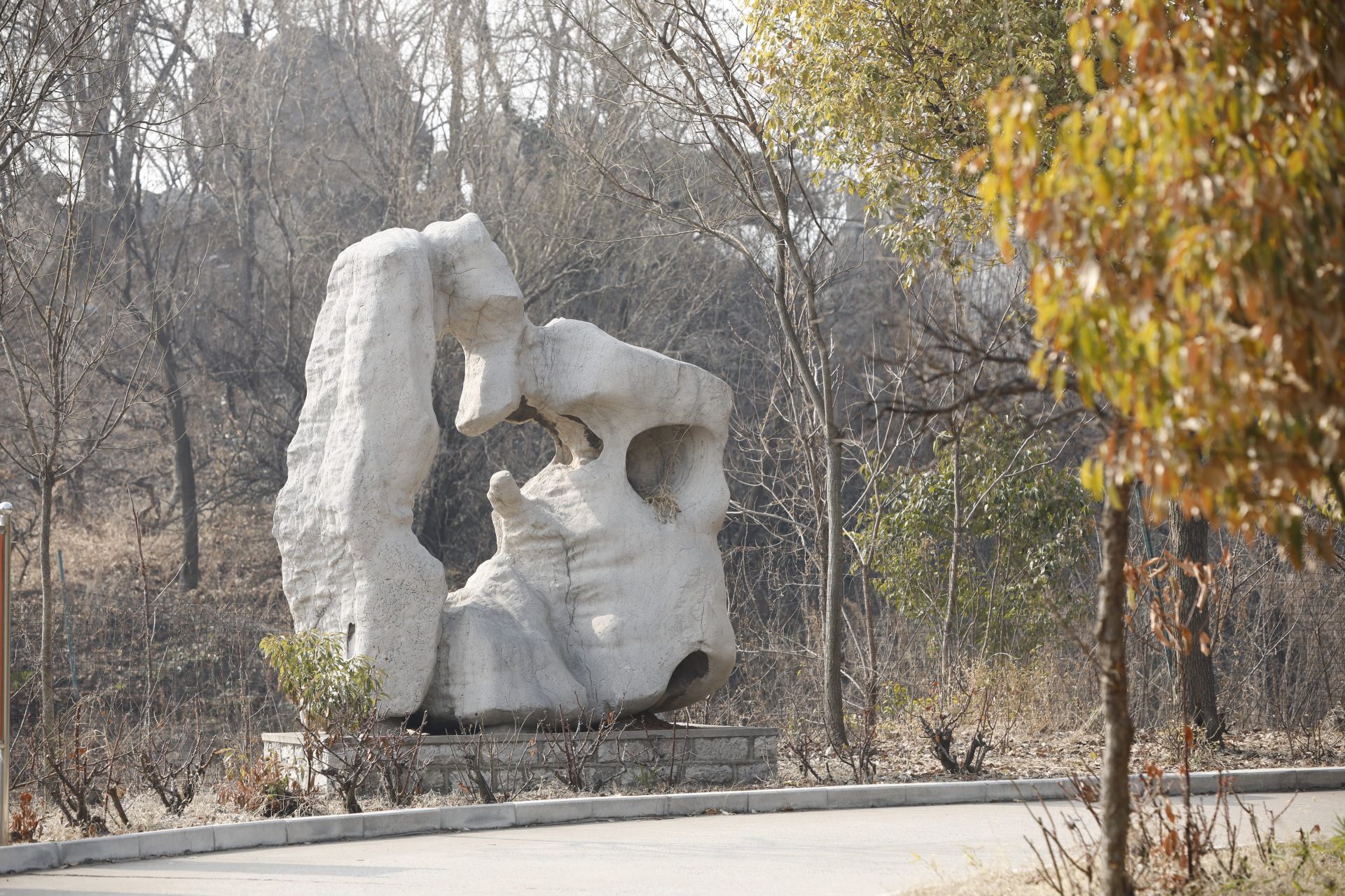 卧龙公园旅行图片 3