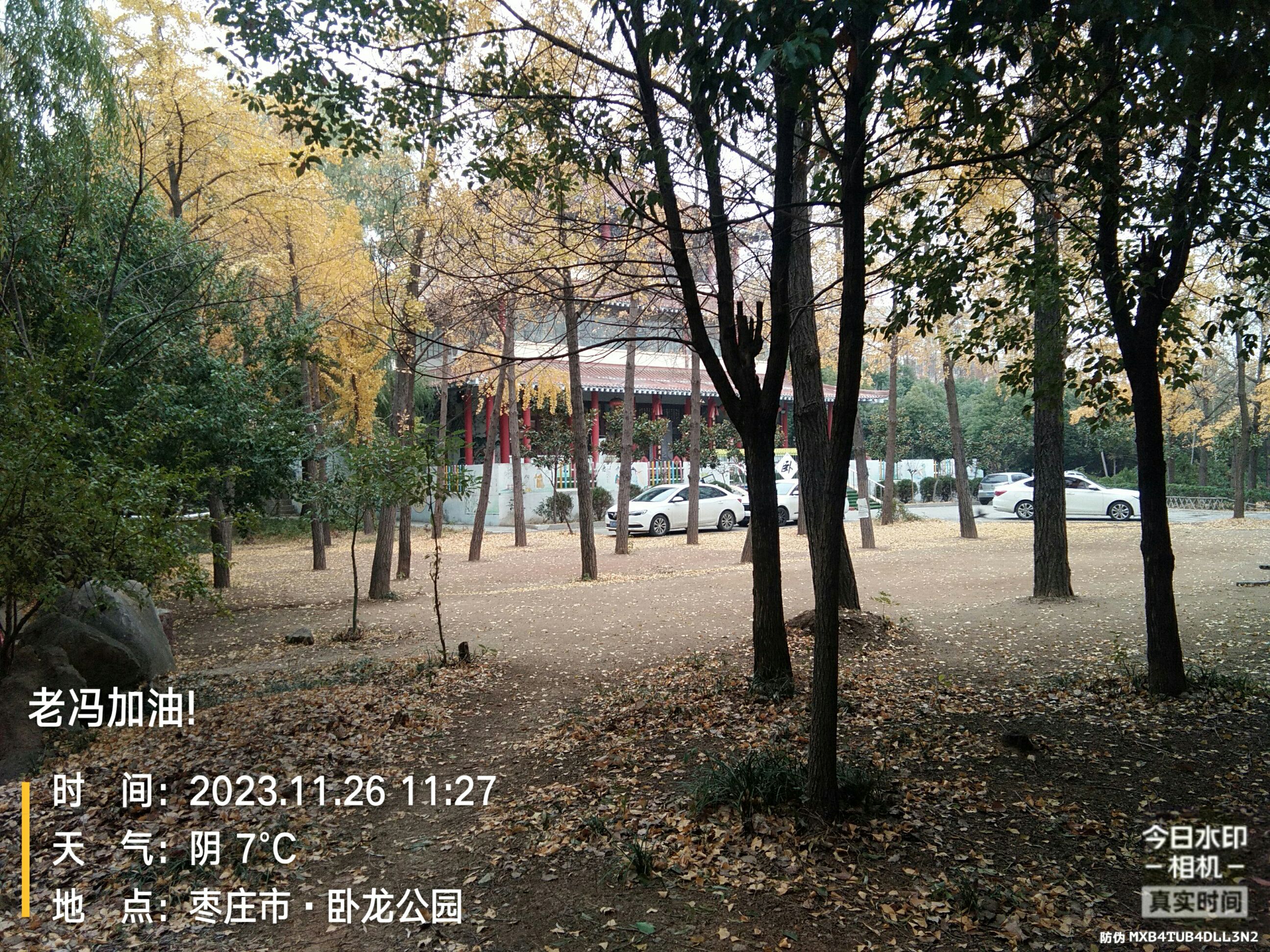 卧龙公园旅行图片 2
