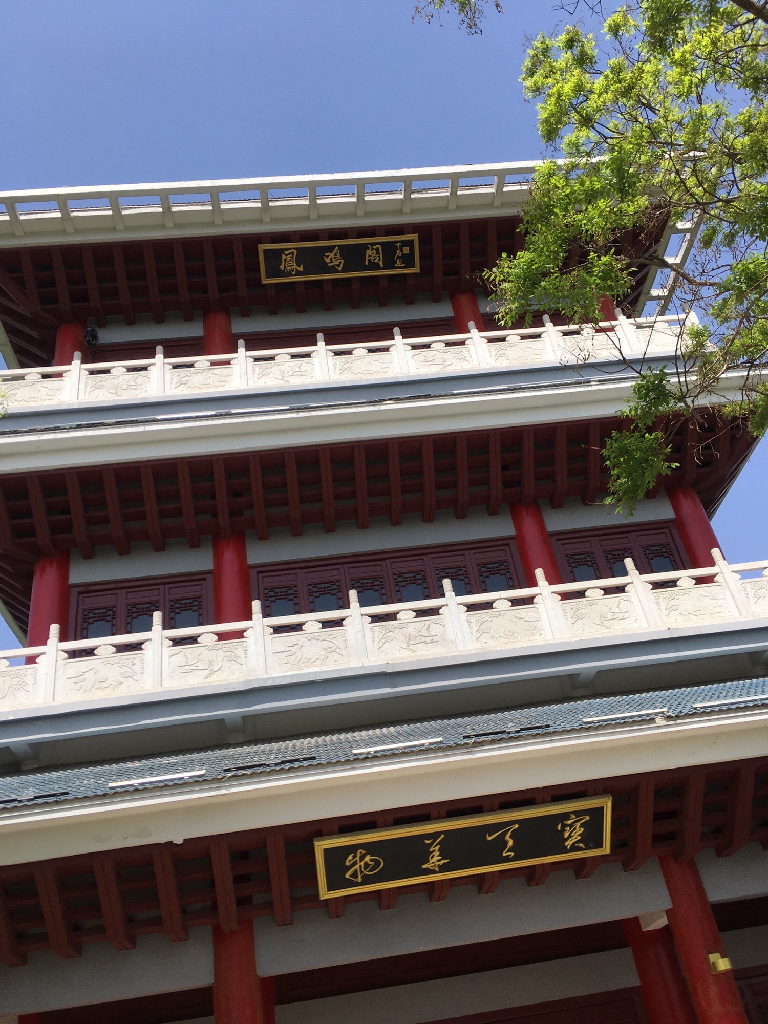 龟山公园旅行图片 3