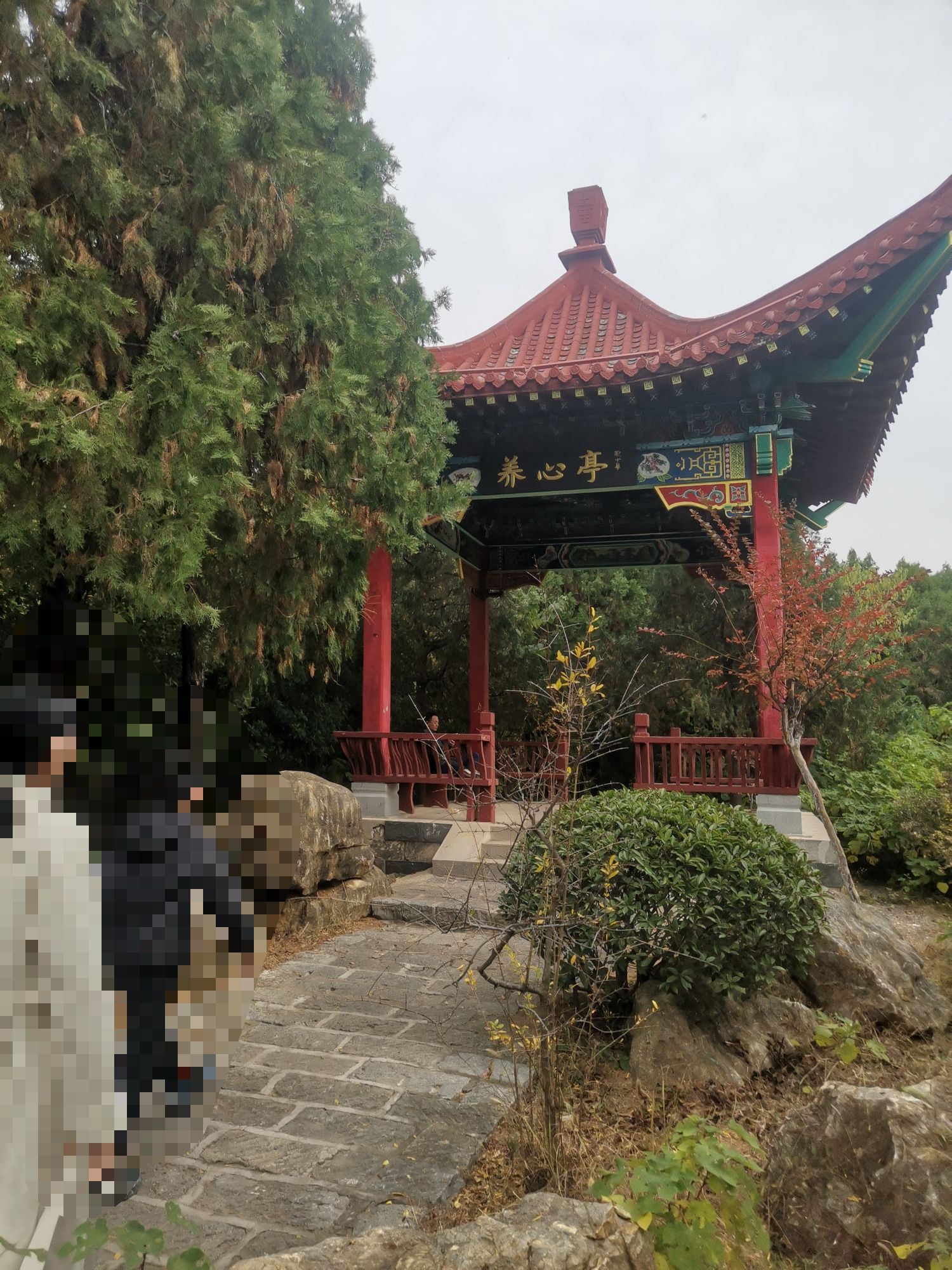 龟山公园旅行图片 1
