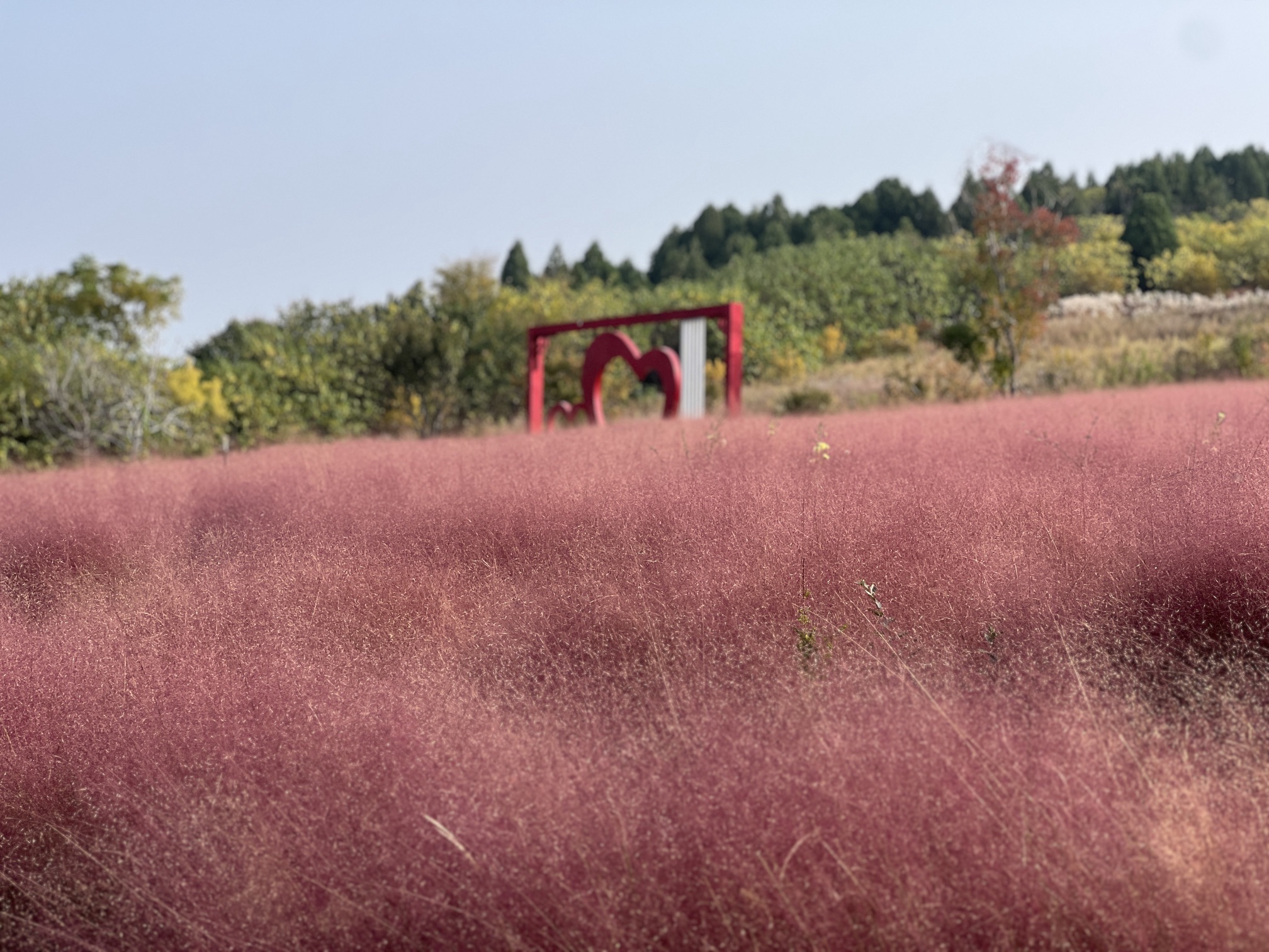 龟山公园旅行图片 3
