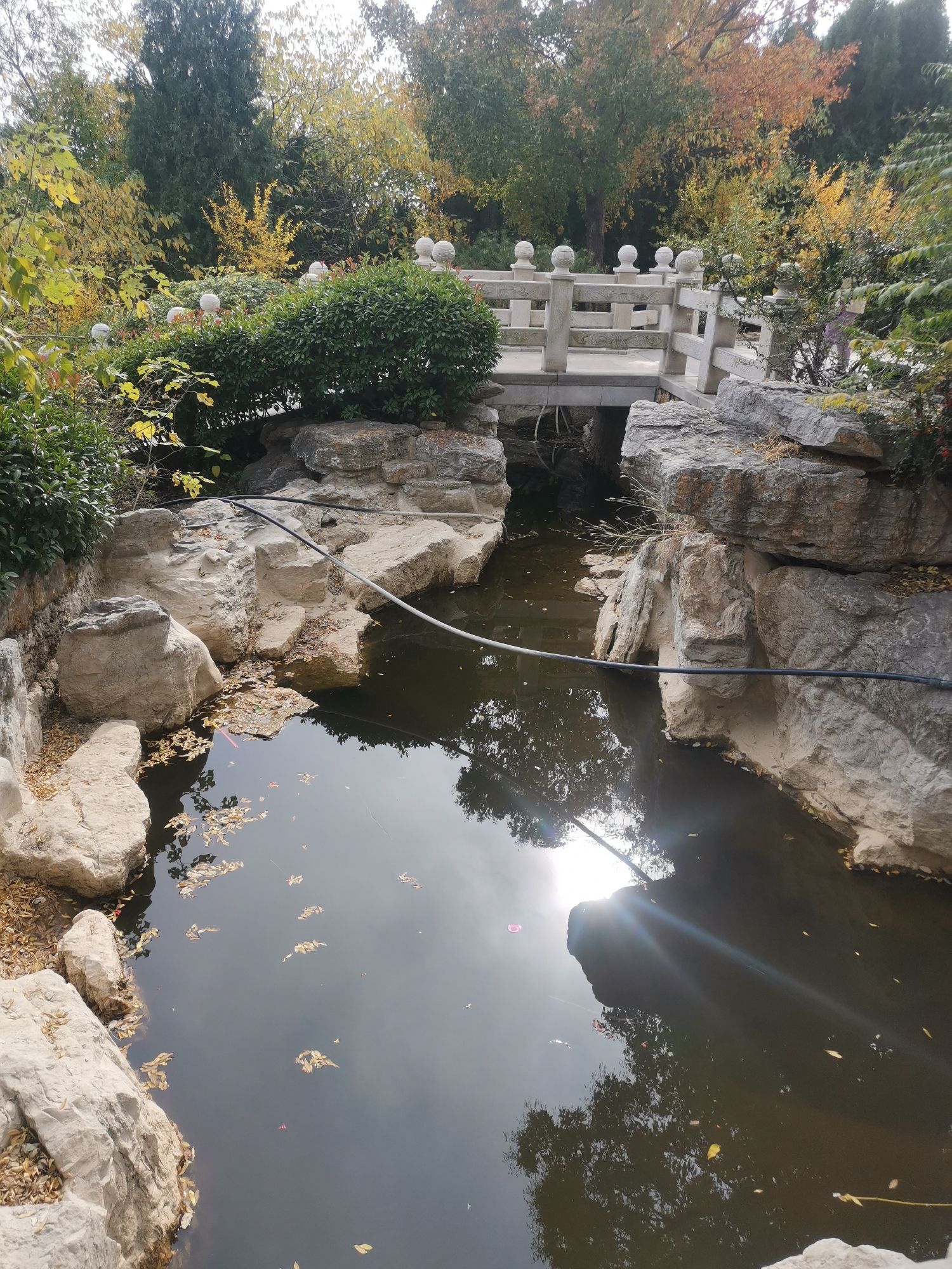 龟山公园旅行图片 3
