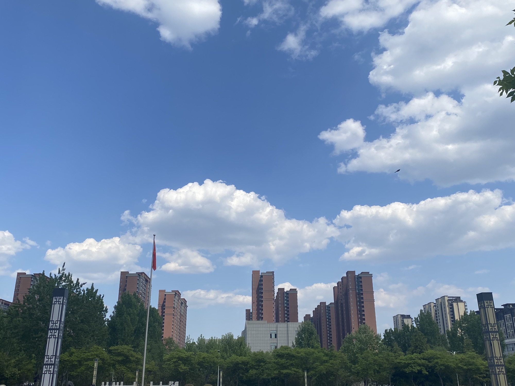 沿河公园旅行图片 2