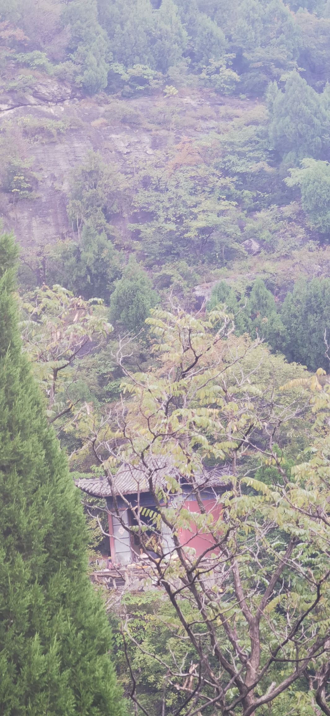 仙人洞风景区旅行图片 3