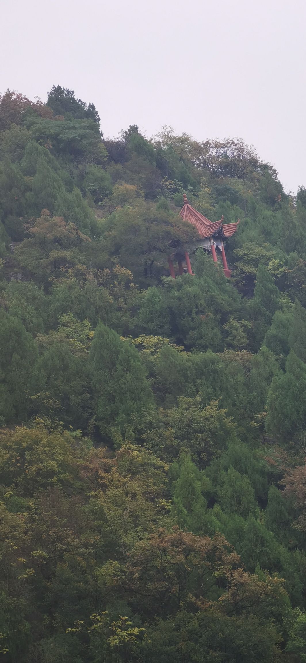 仙人洞风景区旅行图片 2