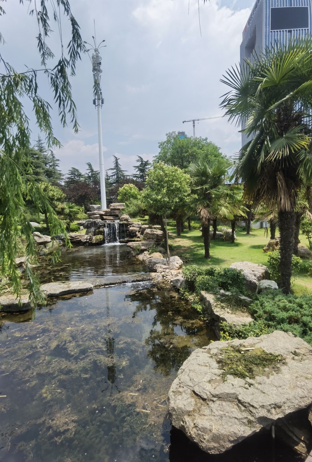 凤鸣公园旅行图片 1