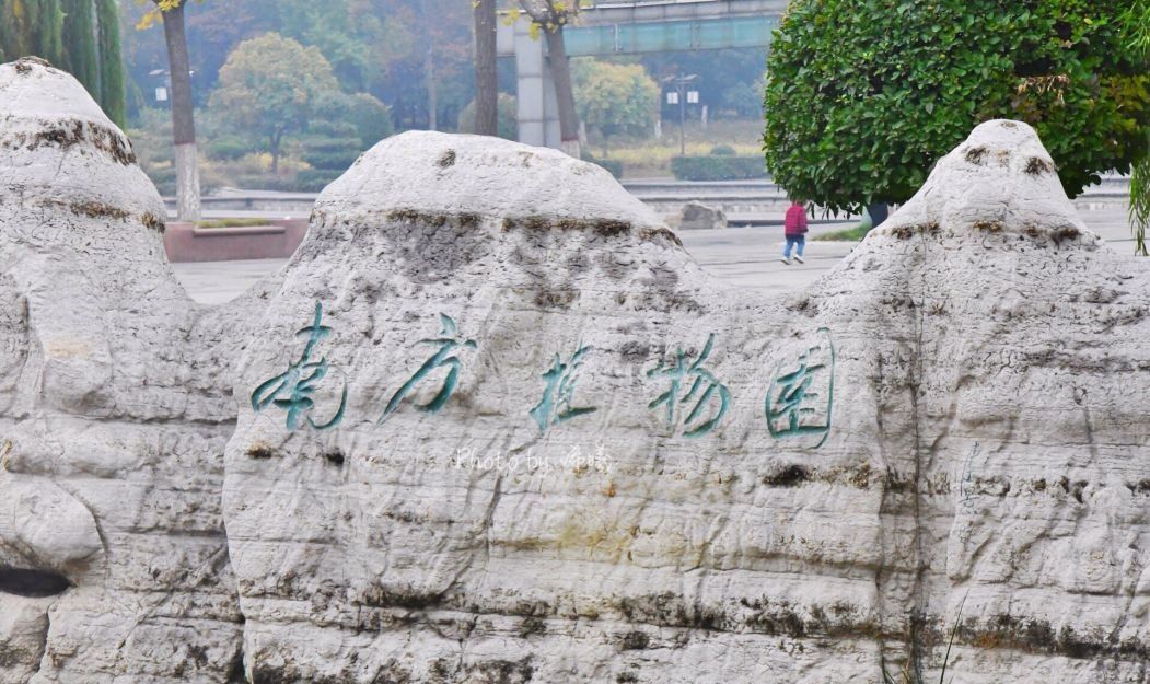 凤鸣公园旅行图片 1