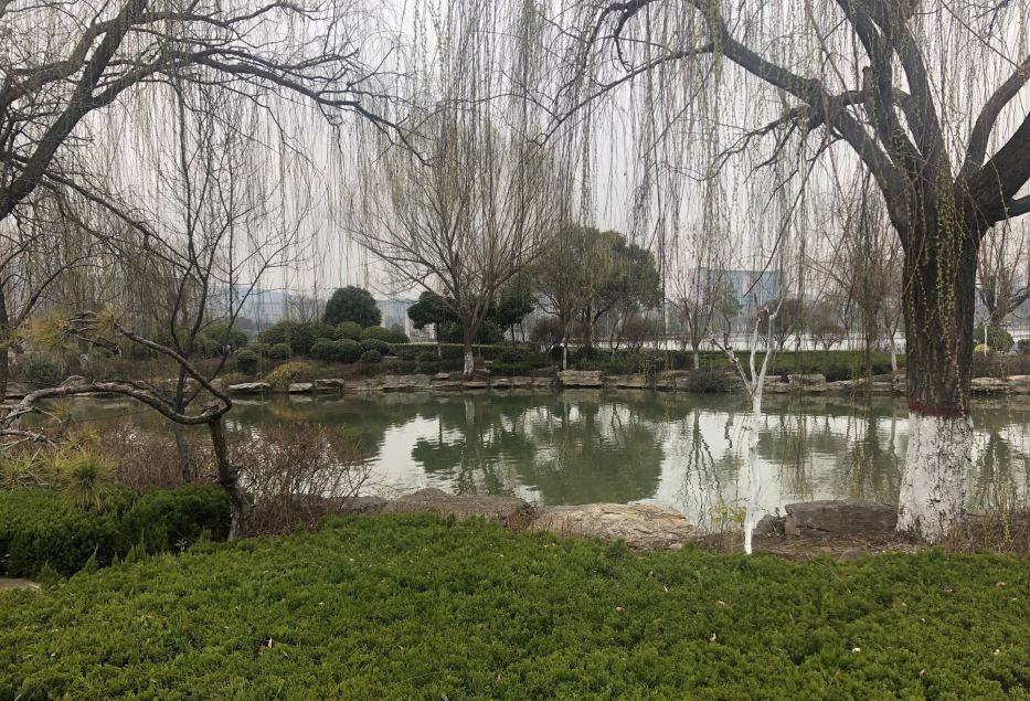 凤鸣公园旅行图片 2