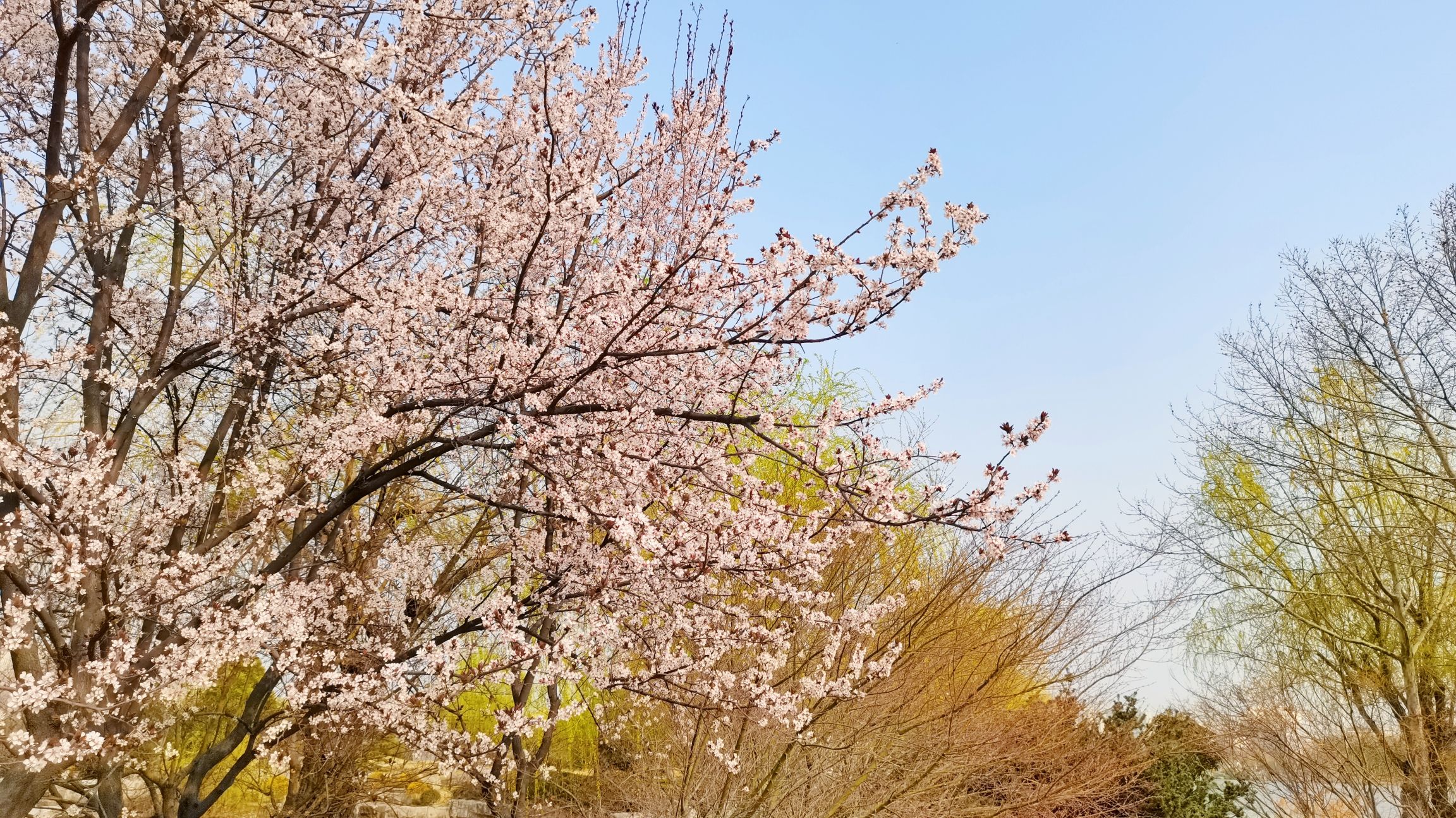 东湖公园旅行图片 1