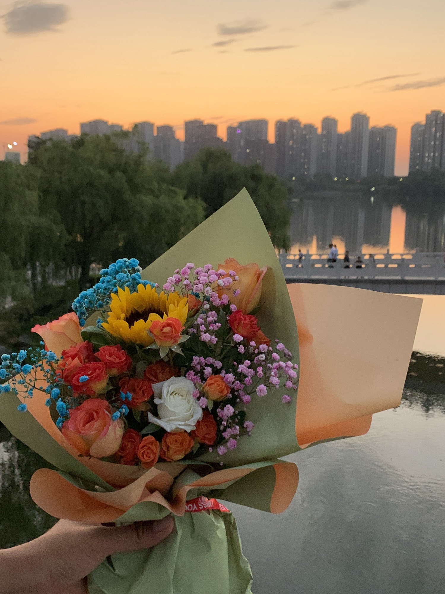 东湖公园旅行图片 3