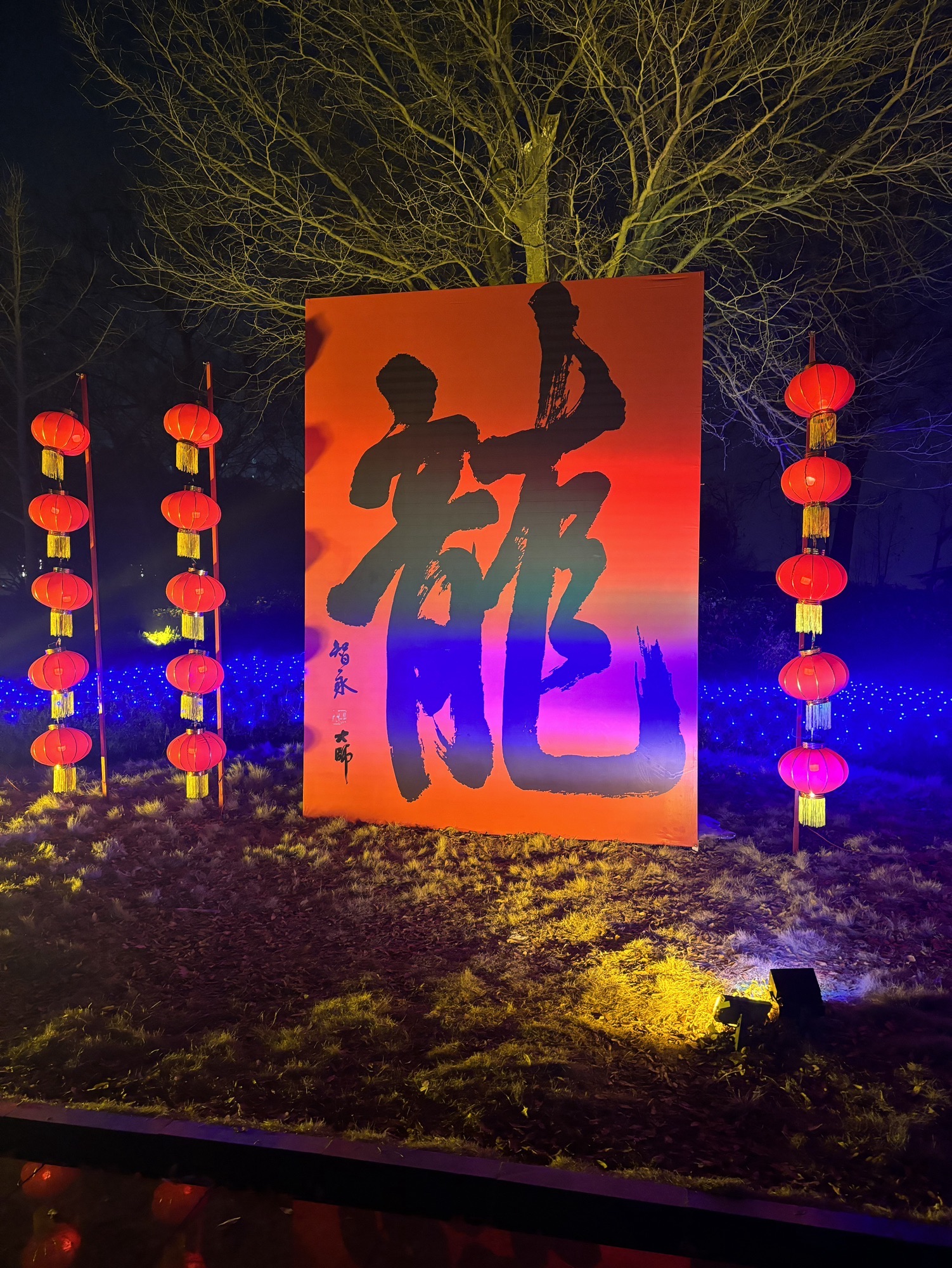 东湖公园旅行图片 2