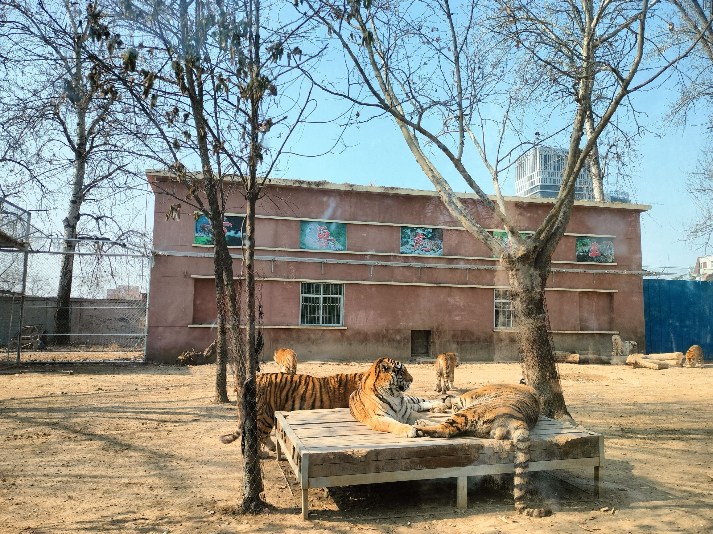 人民公园旅行图片 3