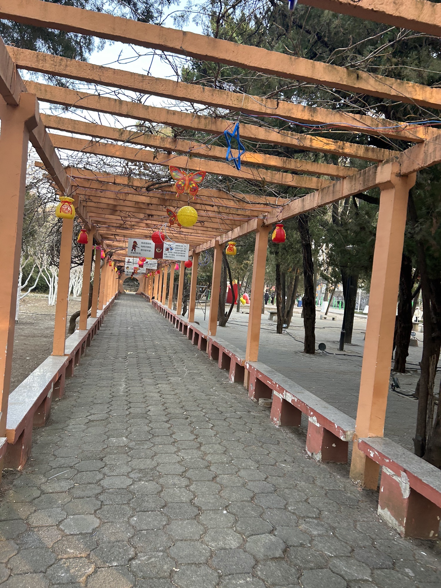 人民公园旅行图片 3