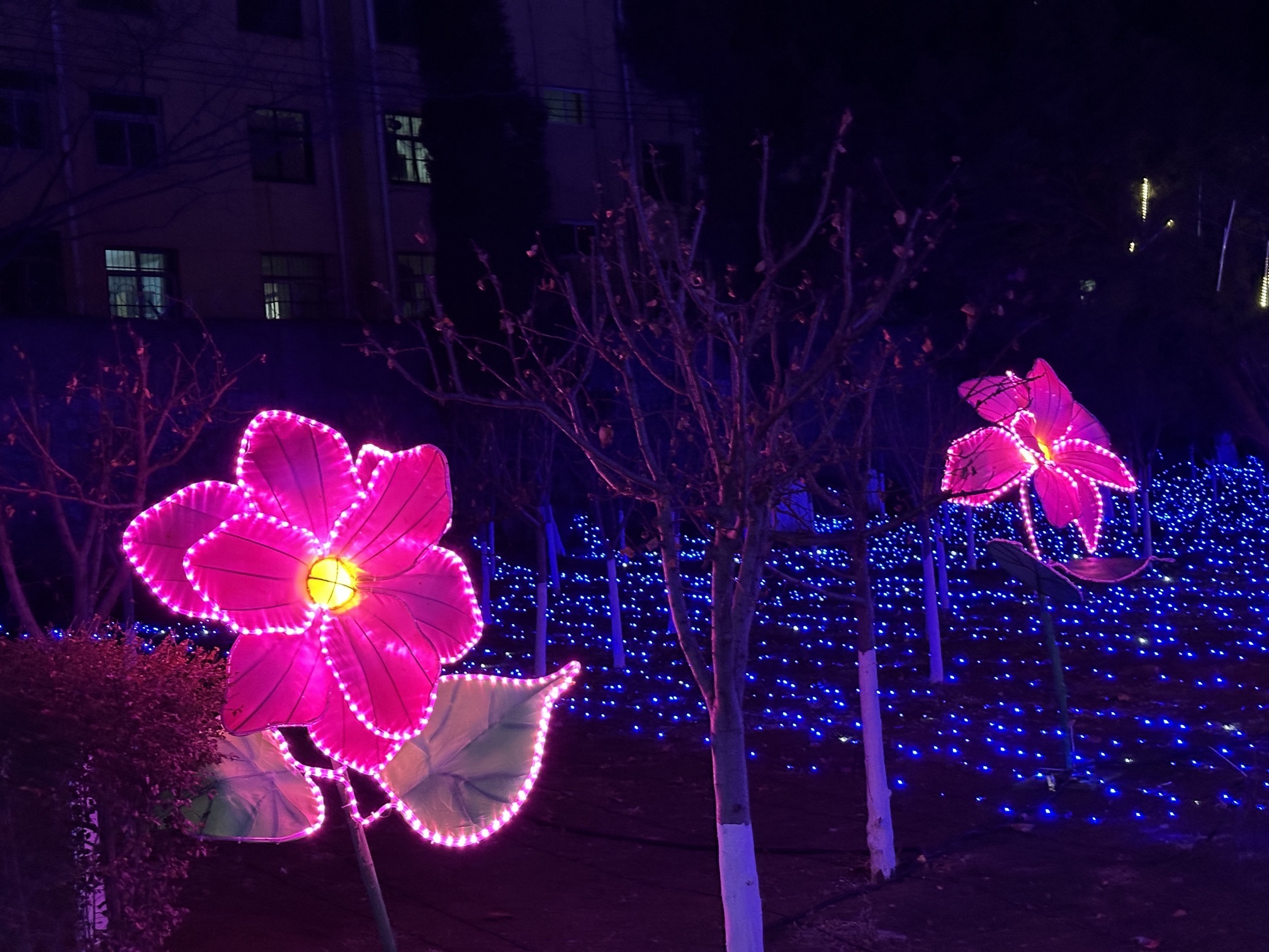 人民公园旅行图片 3