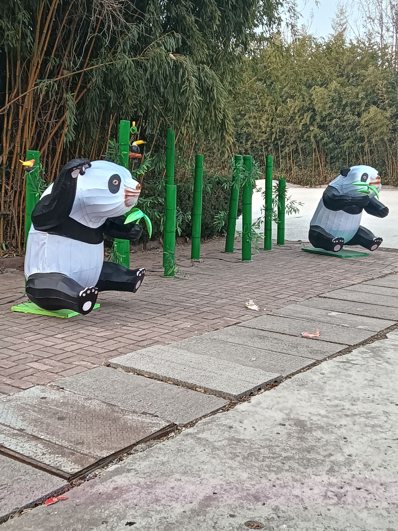 人民公园旅行图片 3