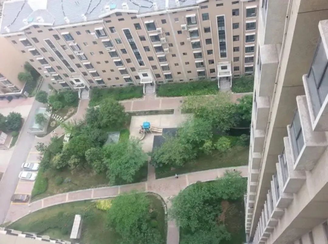 四季菁华