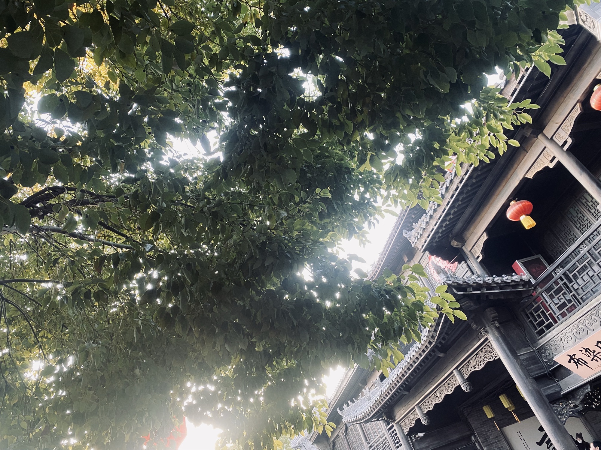 台儿庄古城旅行图片 2